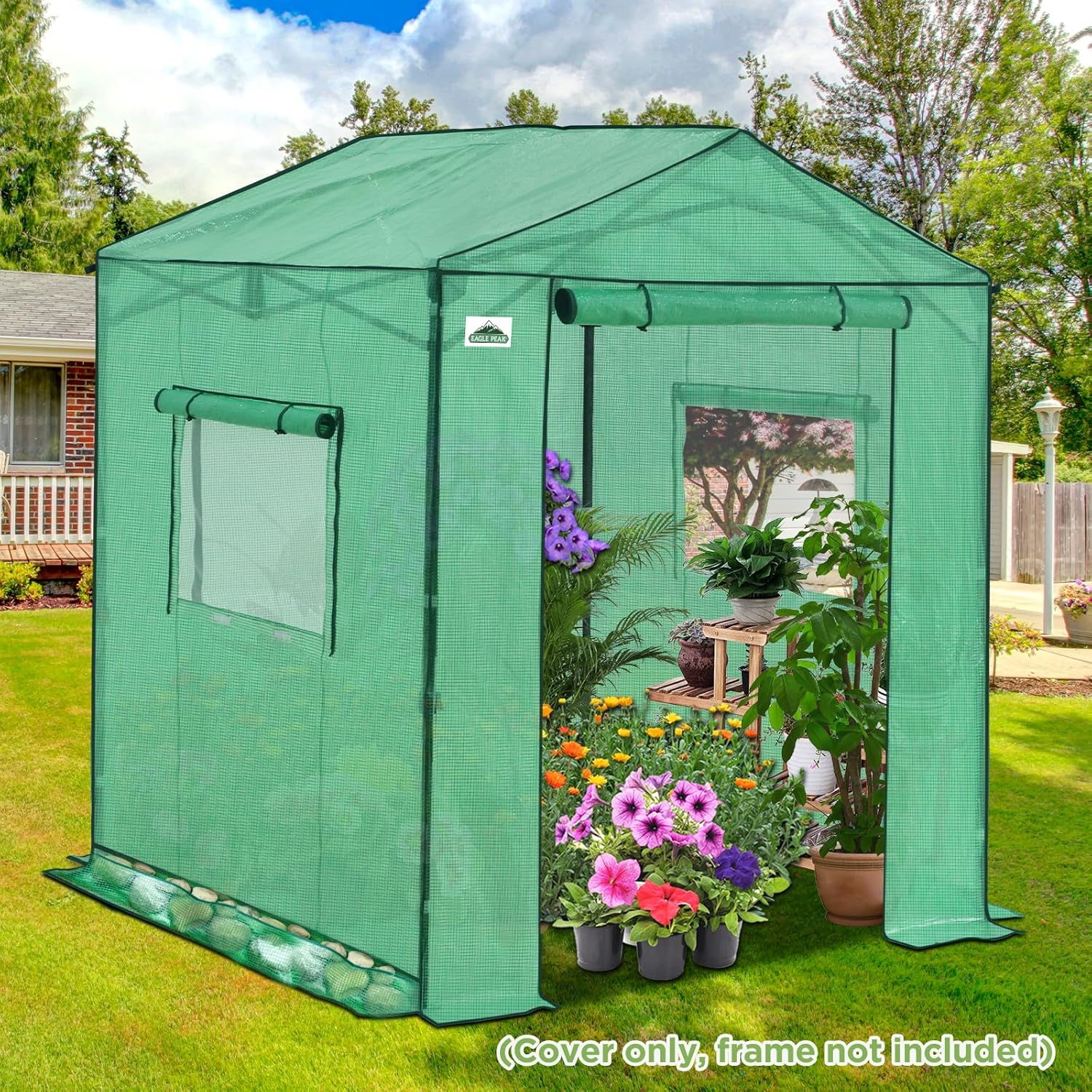 EAGLE PEAK Replacement Cover for 6x6 Gable Roof Pop up Greenhouse, Front and Rear Roll-Up Zipper Entry Doors and 2 Large Roll-Up Side Windows (Frame Not Included), Green