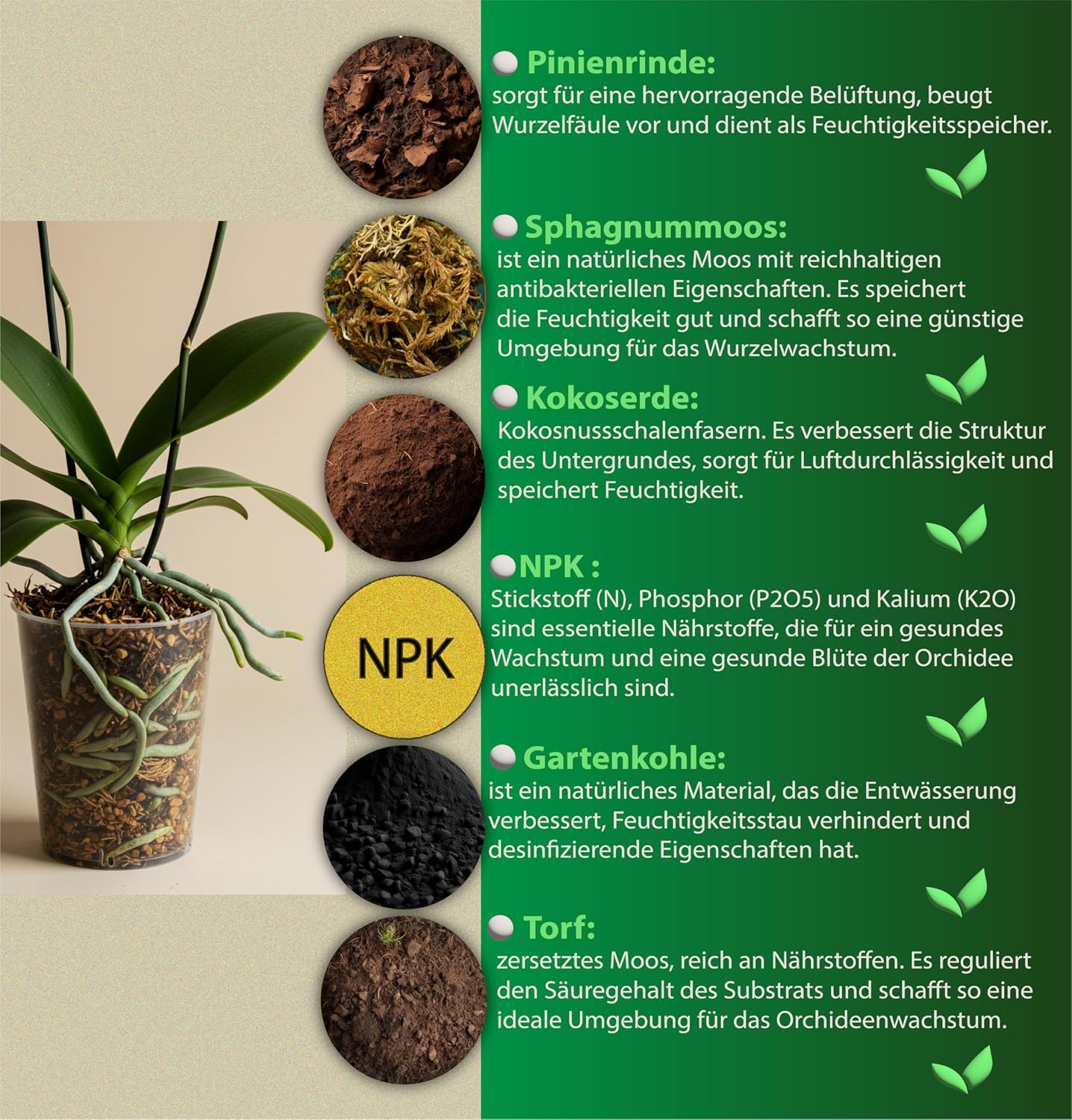Garten Lux Premium Orchideenerde - Substrat pour orchidées (2,5 L, 6 composants, pour une croissance saine et un soin optimal de vos plantes d'orchidées, substrat idéal pour tout type de) — vue 3
