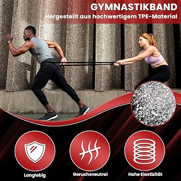 Fitness Bands - 4 Level Resistance Bands Set with Door Anchor Terrabands for Pull-Ups Strength Training Yoga & Stretching