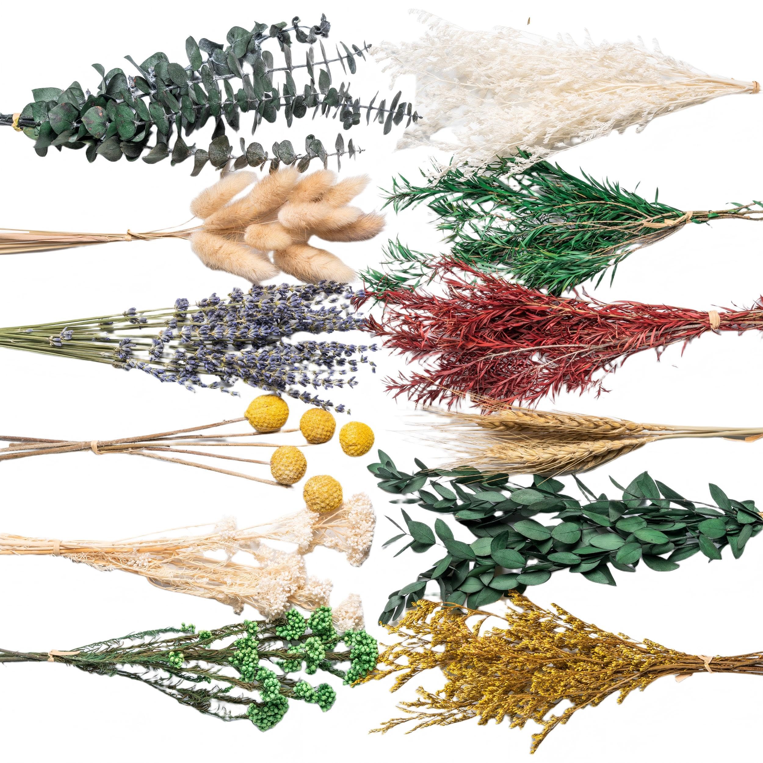 Photo 1 of 12kinds Natural Dried Flowers DIY kit ,10~12inch,Handpicked Including Lavender/Eucalyptus/Wheat,for Home Office Wedding Decor, Low-Maintenance