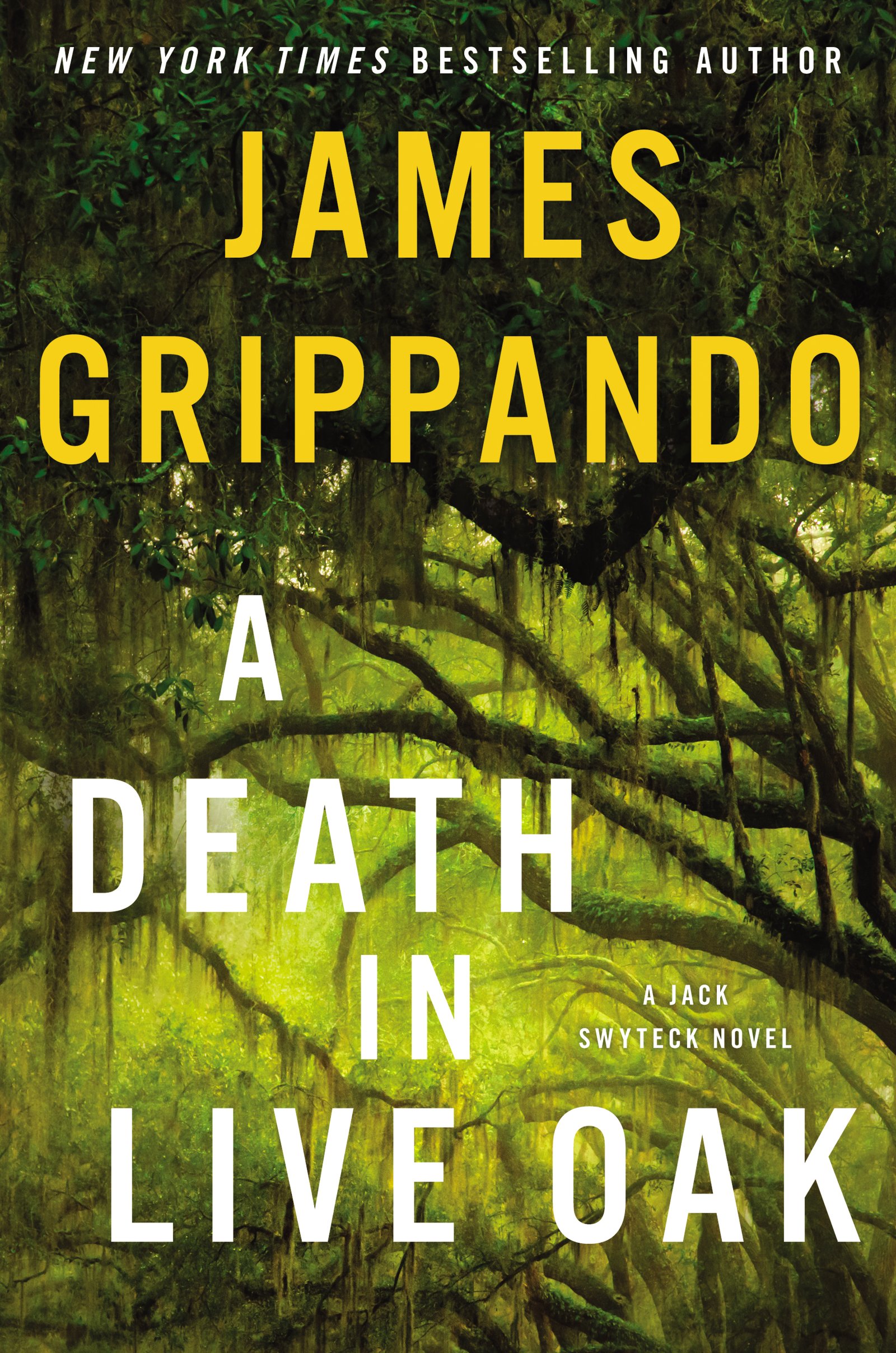Death in Live Oak, A: A Gripping Jack Swyteck Crime Thriller – Page-Turner of Fraternity Murder and Racial Tensions (Jack Swyteck Novel Book 14)