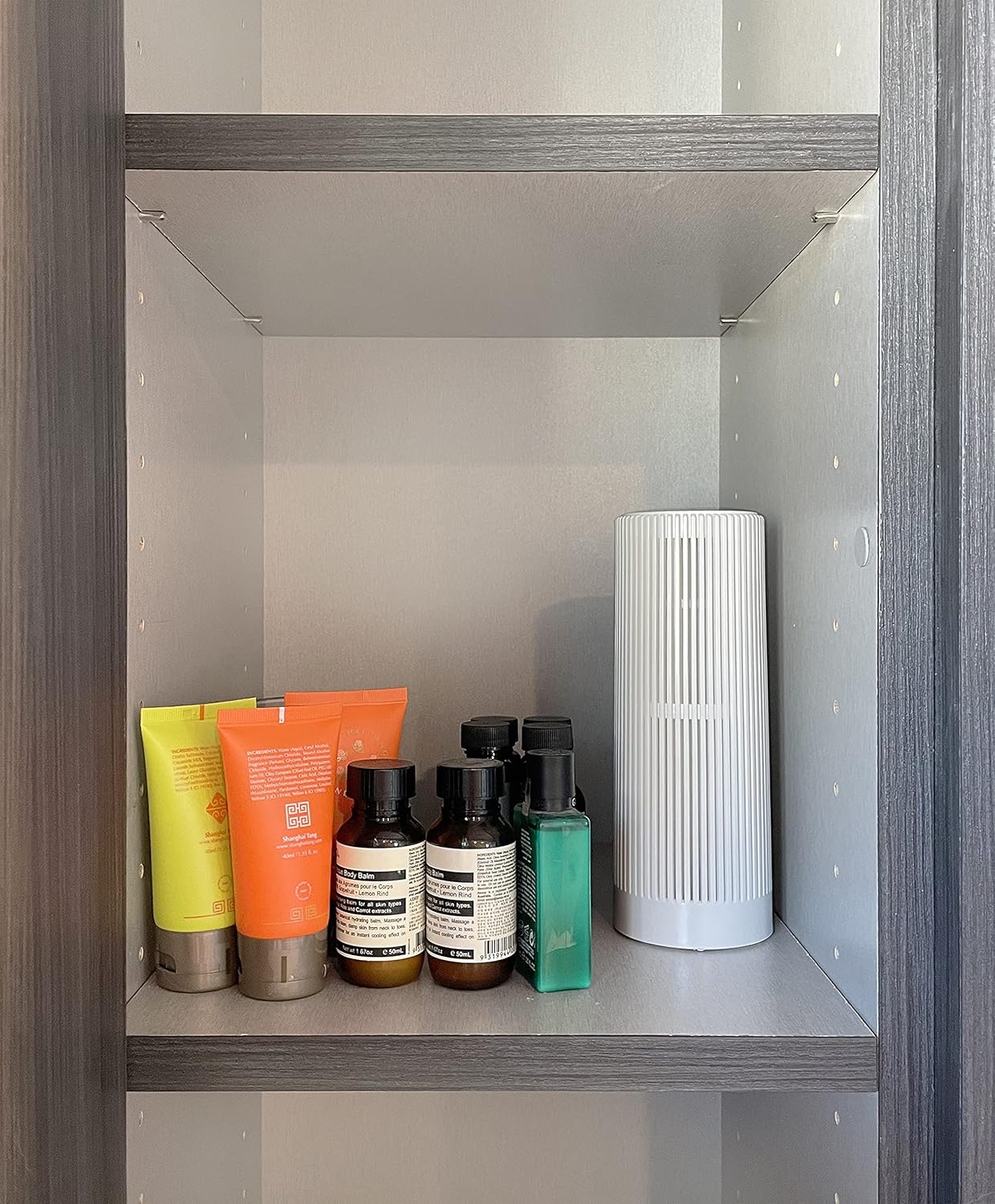 SPT SI-X100ML: Renewable Mini Dehumidifier