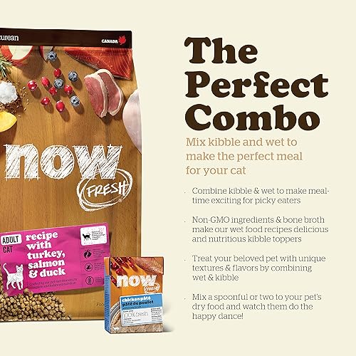 Miniatura 9 de Now Fresh Alimento para gatos sin granos, 3 libras, receta de comida seca para gatos adultos con carne real y pescado para proteínas