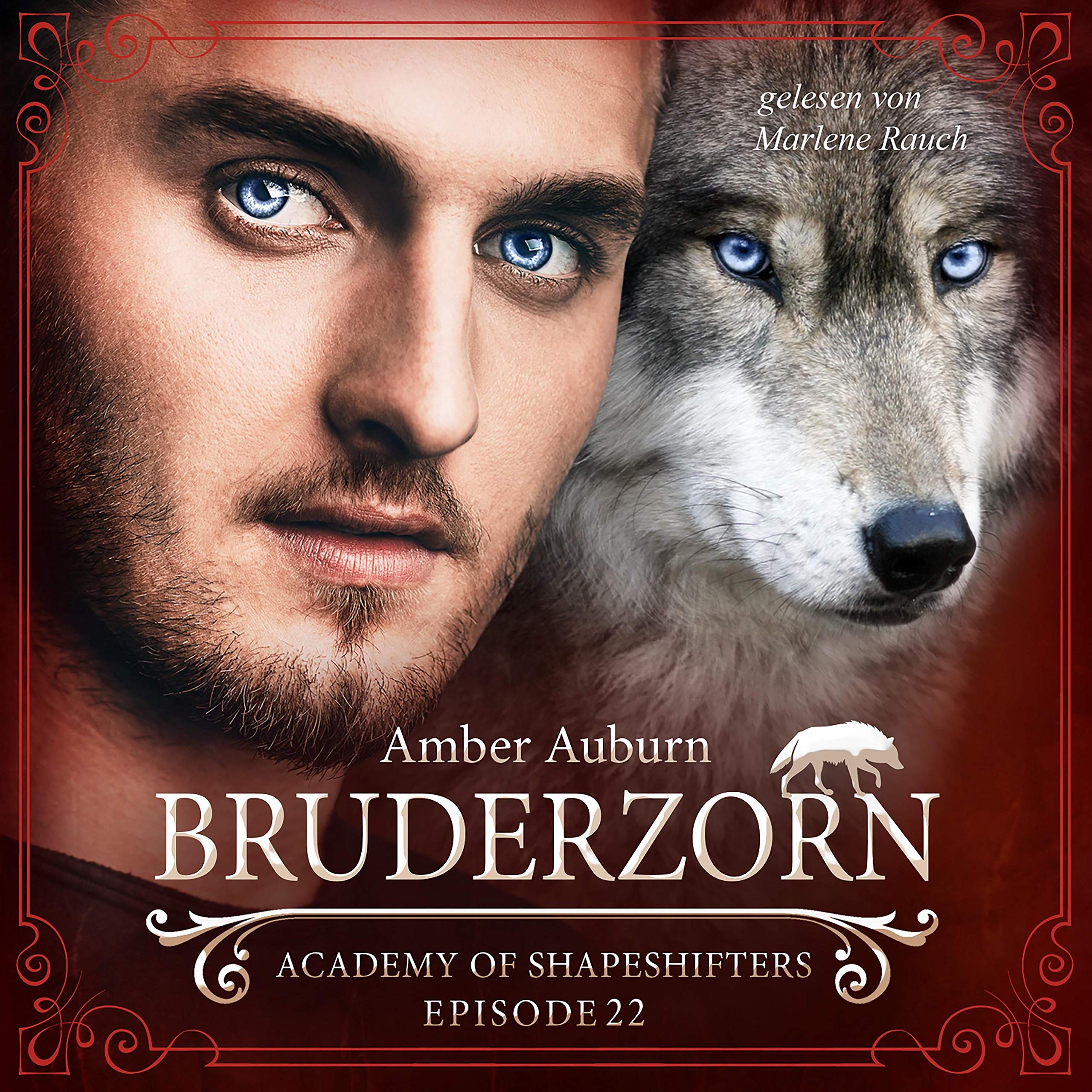 Cover art for Bruderzorn