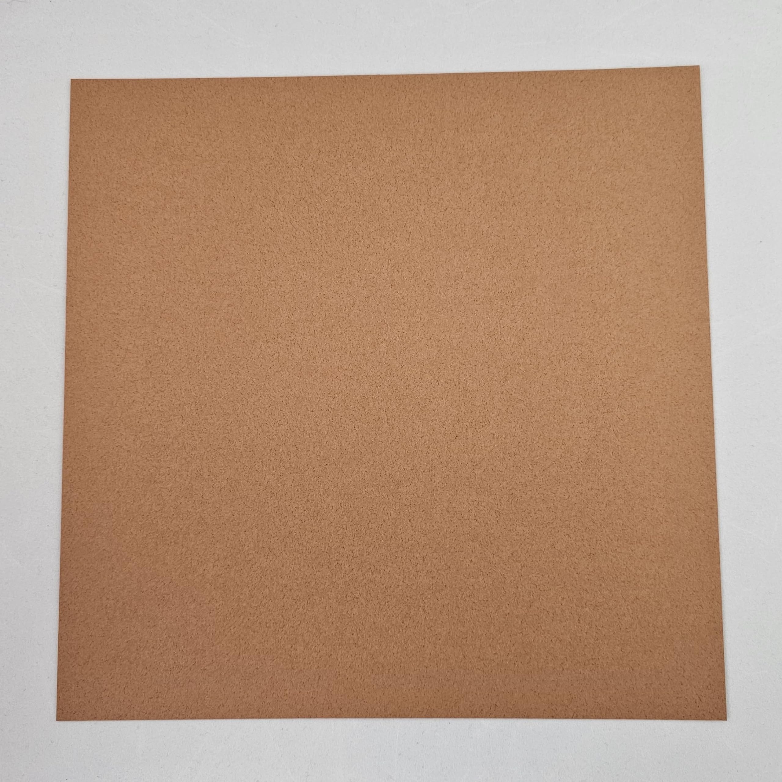 Taro's Origami-Studio: Tant, groß, 25 cm, doppelseitig, einfarbig (braun), 20 Blatt (alle gleiche Farbe), für Origami-Künstler vom Anfänger bis zum Experten (hergestellt in Japan)