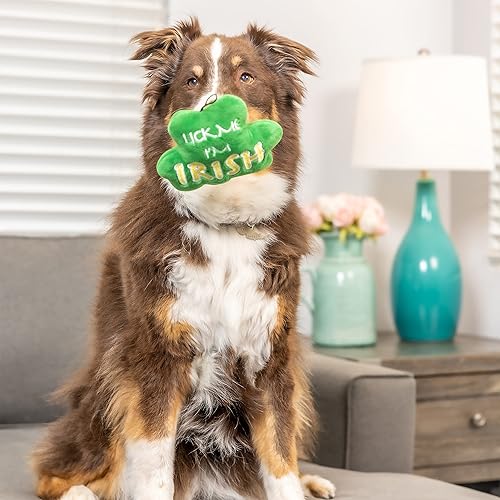 Miniatura 10 de Huxley  Kent Lulubelles Power Plush  Lucky Pup Irish Latte L  Juguete para perro del día de San Patricio con chirriante  Juguete divertido para