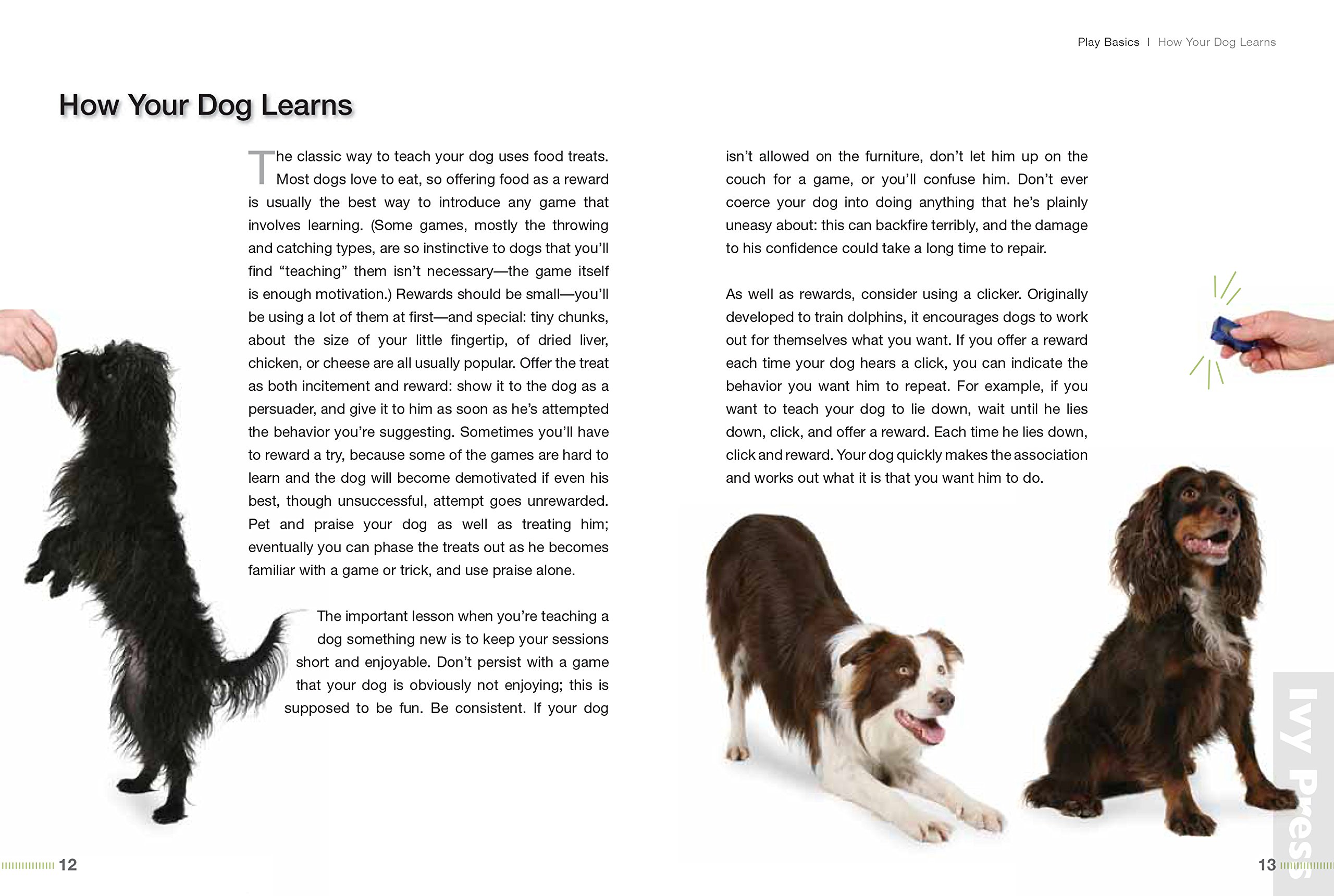 50 Games to Play with Your Dog: Amazon.co.uk: Dainty, Suellen, Tobiassen,  Janet: 9781782403548: Books