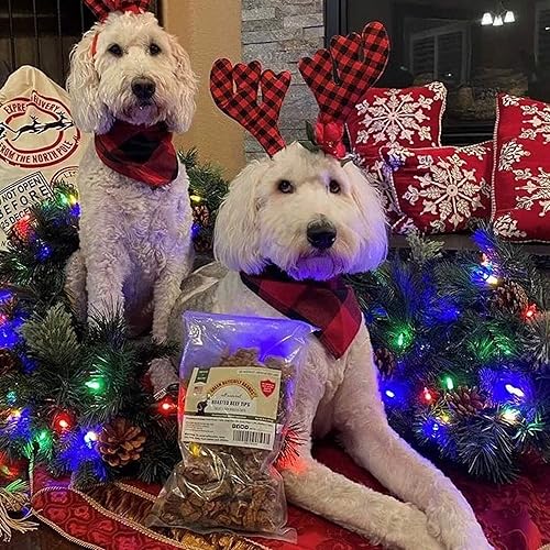 Miniatura 9 de Golosinas de carne de res para perros, fabricadas solo en Estados Unidos, puntas de carne de res carnosa y naturales, carne de res americana asada