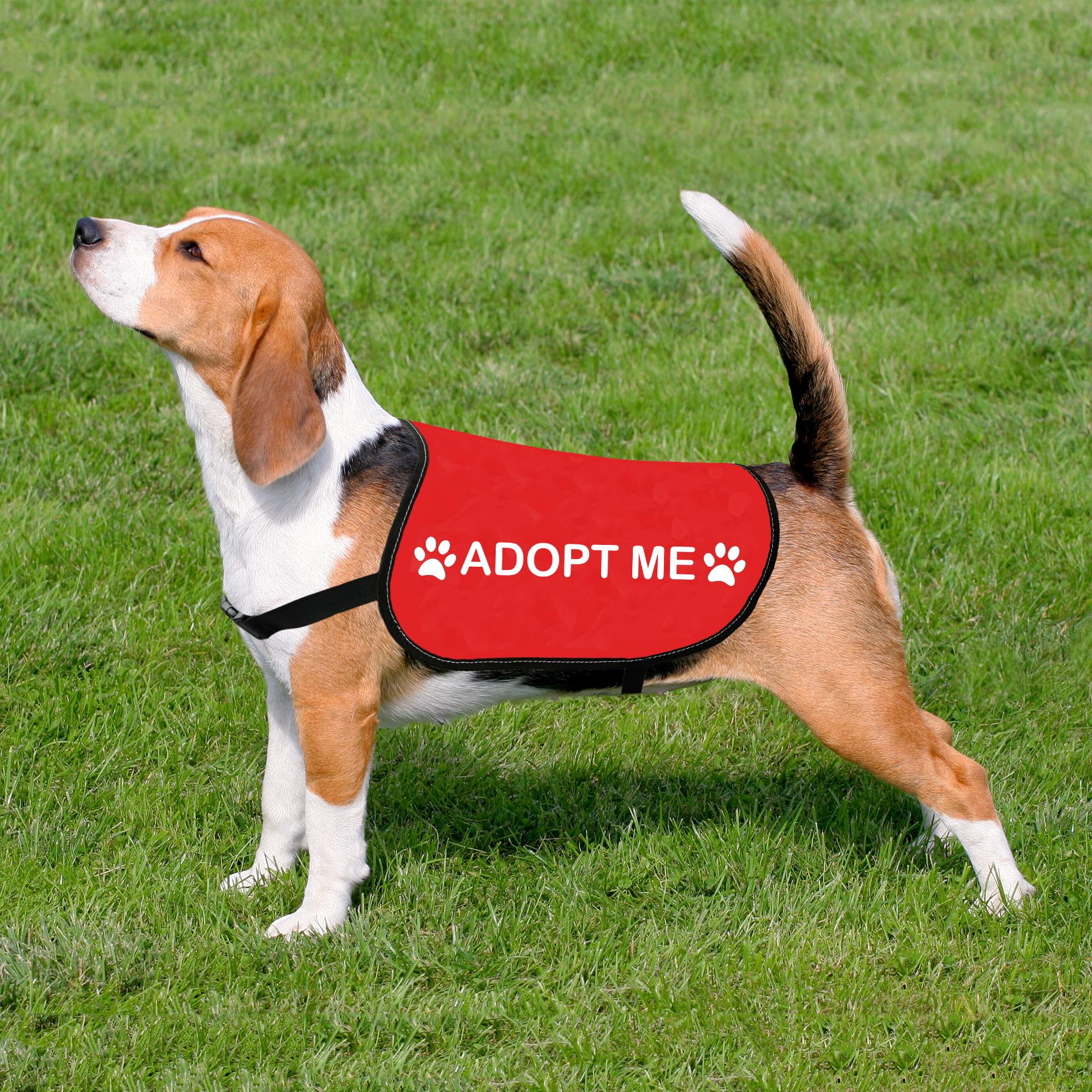 Where To Buy Puppie Love Shirts Rescue Dog Apparel I'd Rather Be