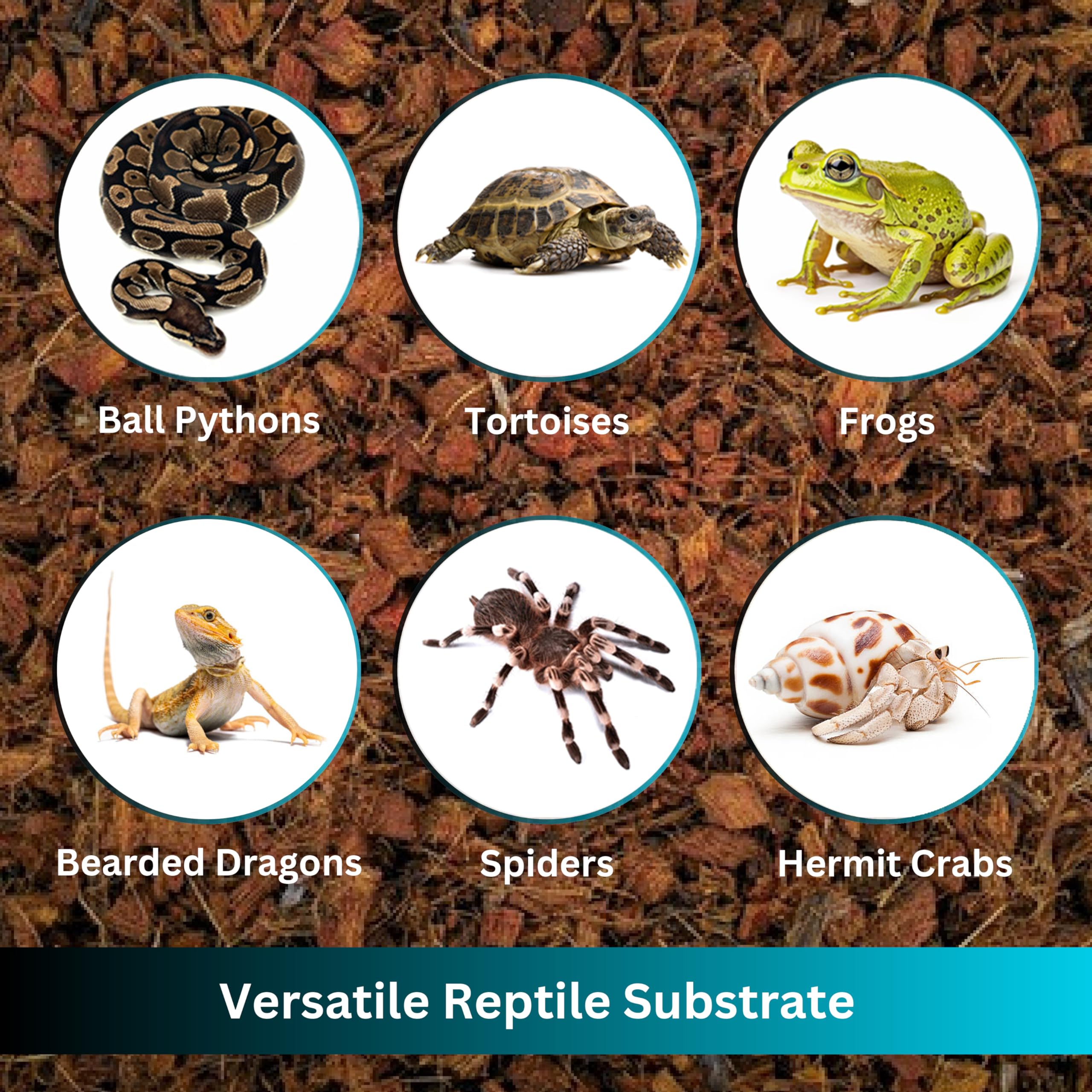 Substrato di scaglie di cocco di alta qualità per rettili, blocco compresso da 4,5 kg, si espande fino a 72 litri, biancheria da letto naturale per habitat di pitone palla, tartaruga, drago