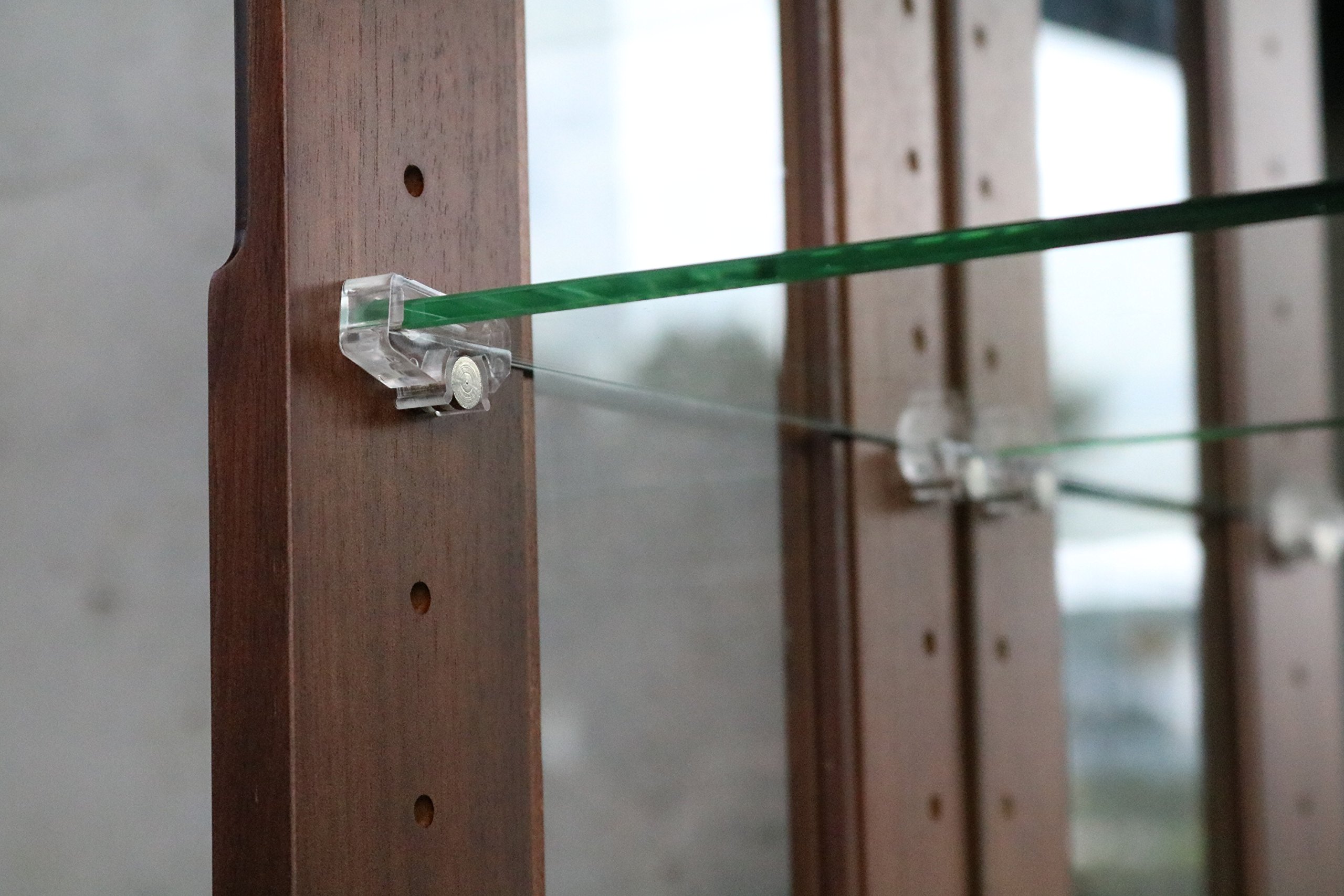 Amazon.co.jp: 塩川光明堂 コレクションケース カルトーネ NEO