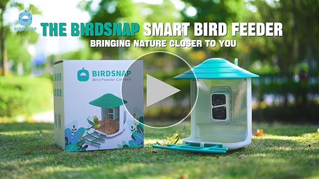 Amazon.com : birdsnap® TUC Bird Feeder with Camera 2K HD, Solar