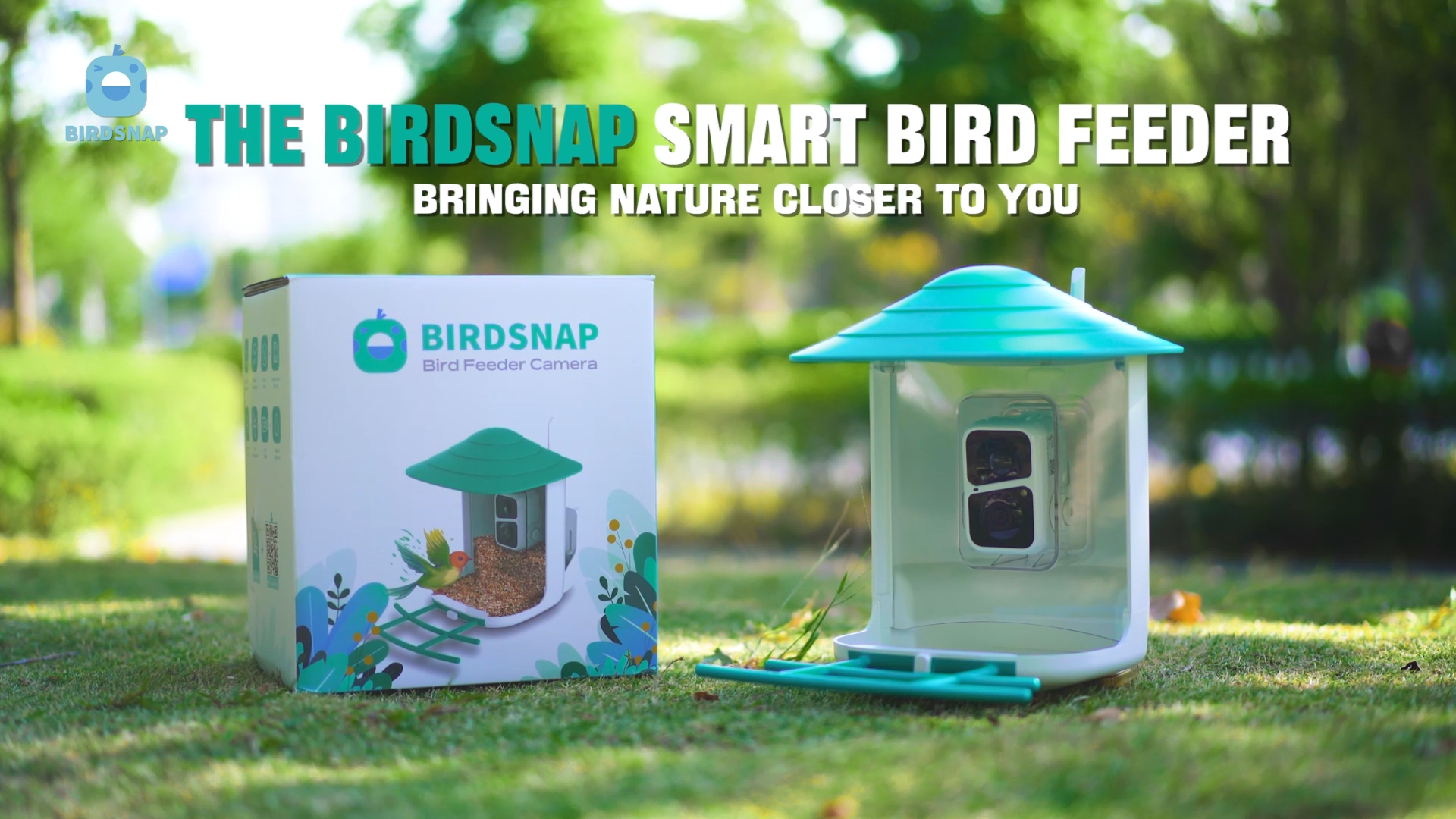 趣味 hondy BIRD LAND PRESS 16 趣味 hondy BIRD LAND PRESS 16 趣味 hondy BIRD LAND PRESS 16 趣味