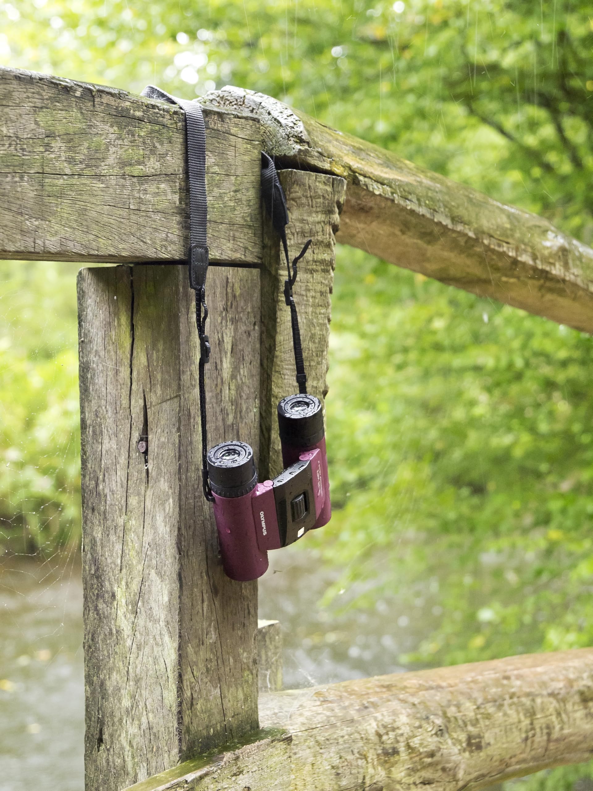 OM SYSTEM Jumelles Sport 8x25 WP II Lilas - Compactes et Étanches | Optiques antibuée haute performance pour randonnée et voyage. Inclus : étui, courroie et capuchons de protection.