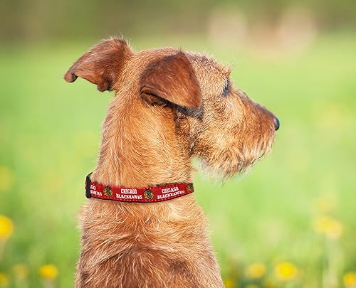 Miniatura 100 de Pets First Collar NHL para perros y gatos. Ajustable, lindo y elegante. ¡El mejor collar para fanáticos del hockey! Anaheim Ducks
