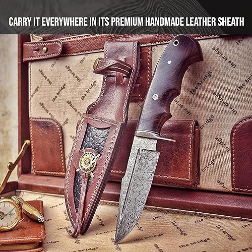 Miniatura 5 de BIGCAT ROAR Cuchillo de caza de Damasco hecho a mano, cuchillo de caza de hoja fija Bushcraft con funda y mango de madera de nogal, cuchillo de