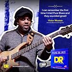 DR Strings Handmade Strings PHR-9 PURE BLUES™ Pure Nickel Electric Guitar Strings: Light 942, original version