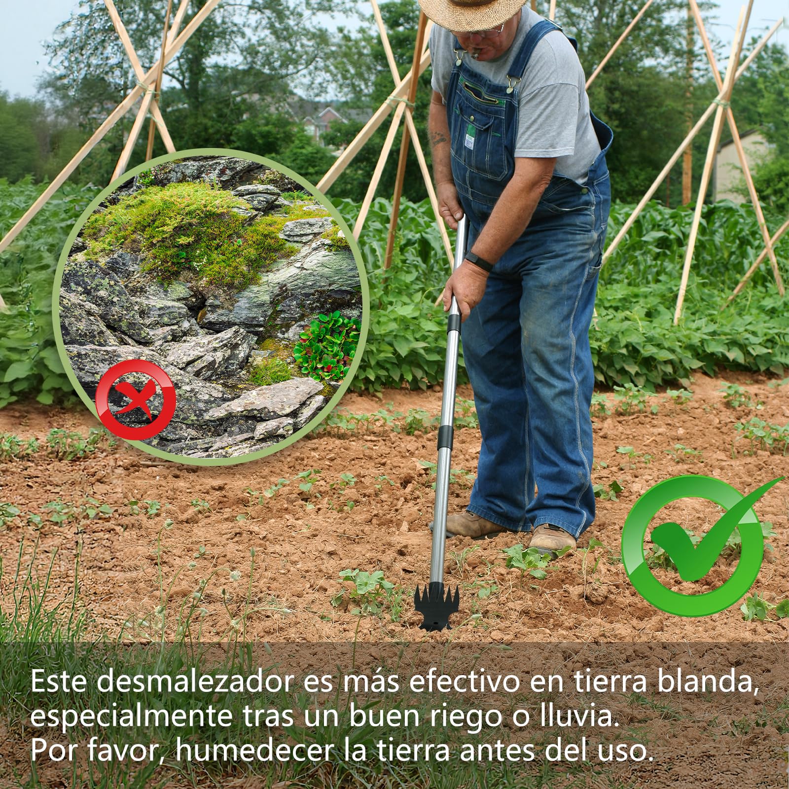 Mitclear Extractor de Malezas con Mango Largo(148cm), Herramienta de Jardín 2 en 1 con Rastrillo y Azada, Desmalezador Manual, Eliminador de Malas Hierbas