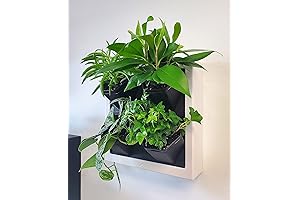 Vertical Garden Haven – DIY Self-Watering Living Wall