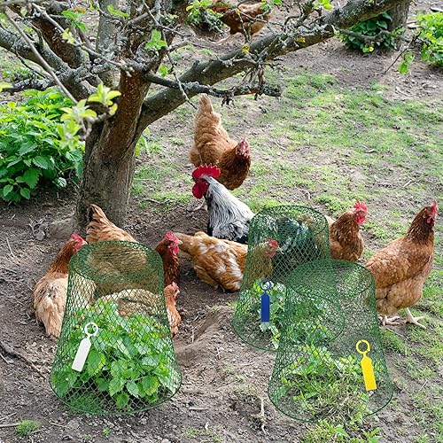 Miniatura 5 de 10 piezas de alambre de pollo cubierta protectora de plantas de metal para jardín cúpula para plantas cesta de protección de alambre de pollo negro