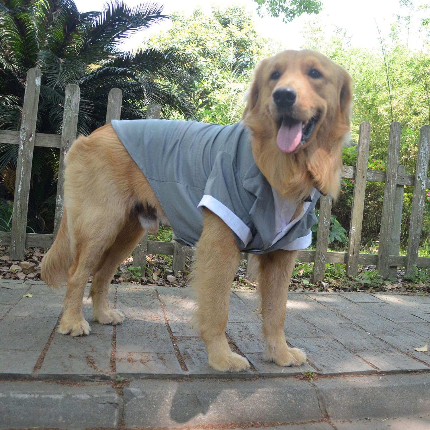 Lovelonglong Pet Costume Dog Suit Formal Tuxedo with Black Bow Tie for Large Dogs Golden Retriever Gray L-XL