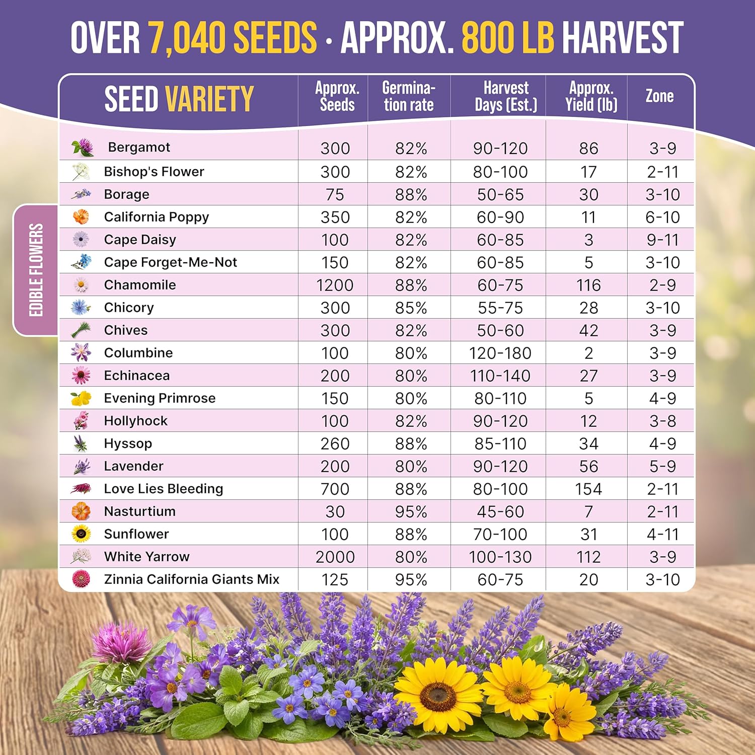 Organo Republic 20 Edible Flower Seeds Variety Pack- Indoor/Outdoor. 7000+ Non-GMO Heirloom: Borage, Bergamot, Nasturtium, Chives, Cape Daisy, Hyssop, Zinnia Seeds & More