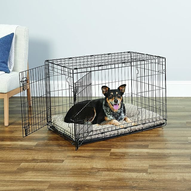 Foto 2 de 7 de New World - Jaula plegable de metal para perros de doble puerta de 91 cm, seguridad mejorada, incluye bandeja…
