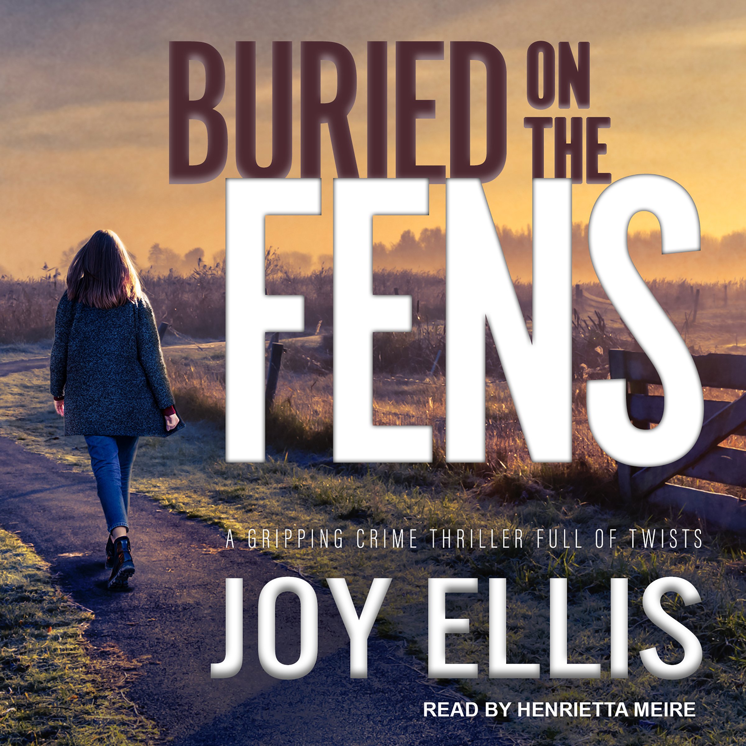 Cover art for Buried on the Fens
