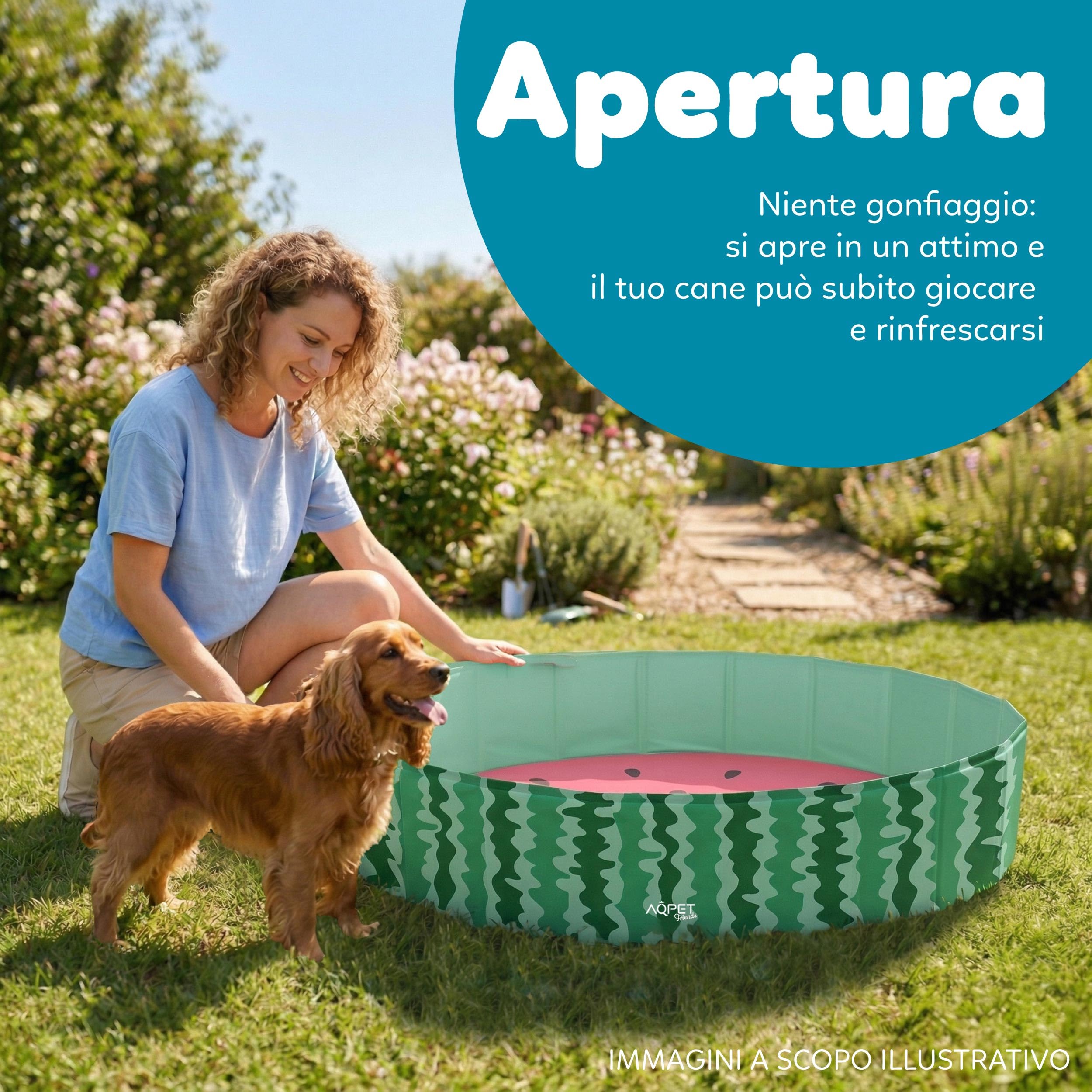 AQPET AqpetFriends Schwimmbad aus Kunststoff für Hunde, Haustiere, faltbar, für den Garten 160 x 30 cm (ØxH)