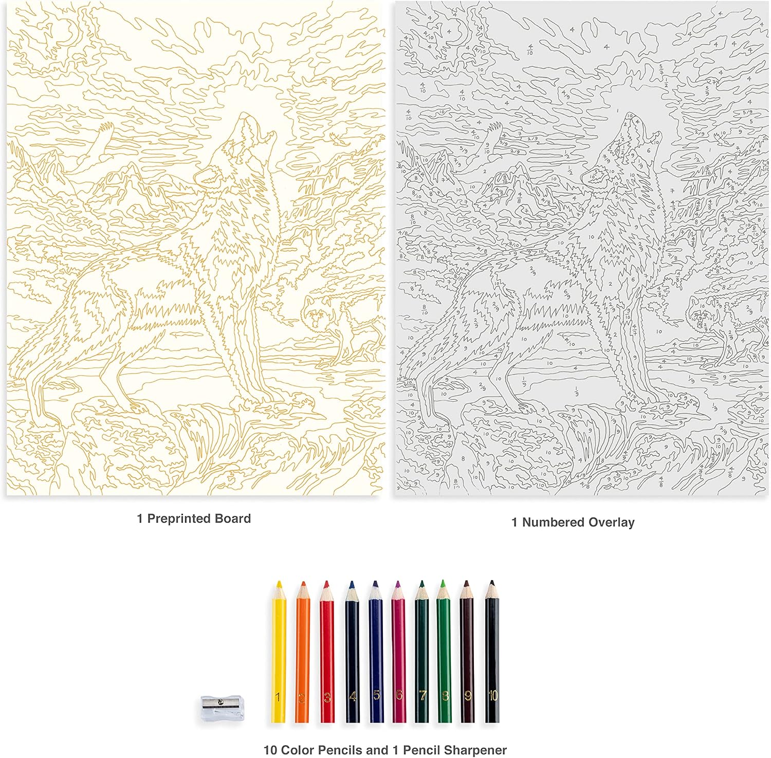 Color Pencil By Number Kit 8.75"X11.75" - Wolf At Night