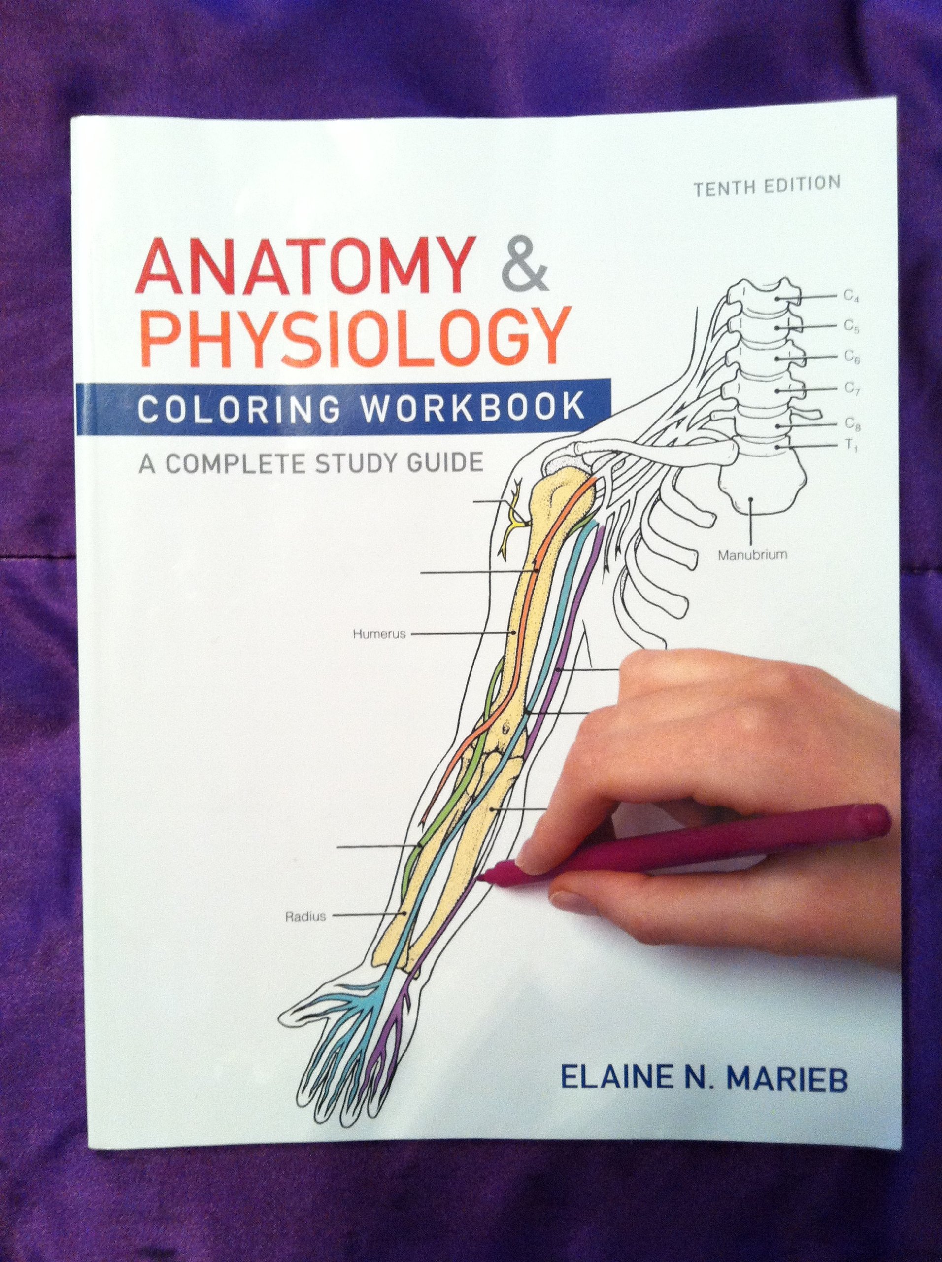 Anatomy & Physiology Coloring Workbook: A Complete Study Guide