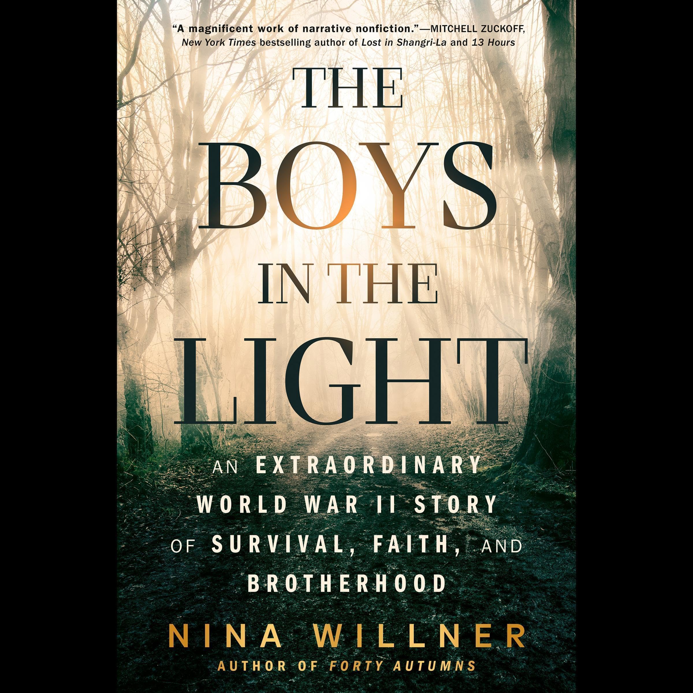 Cover art for The Boys in the Light