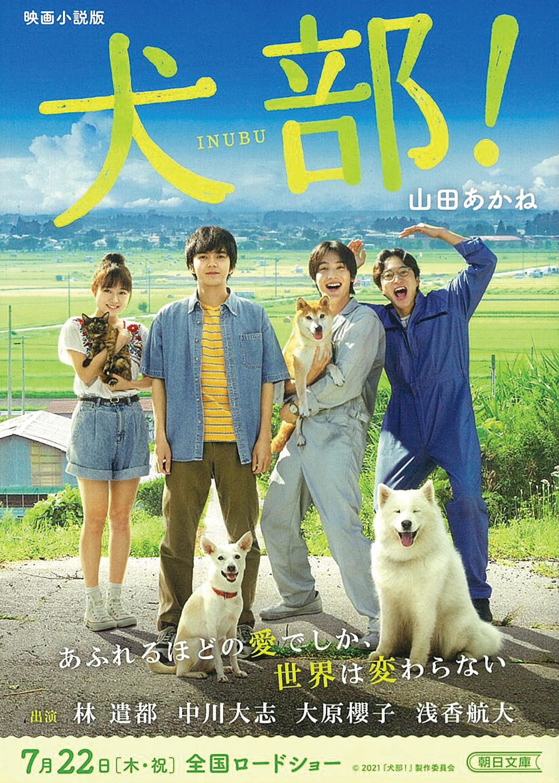 映画小説版 犬部 朝日文庫 山田 あかね 本 通販 Amazon