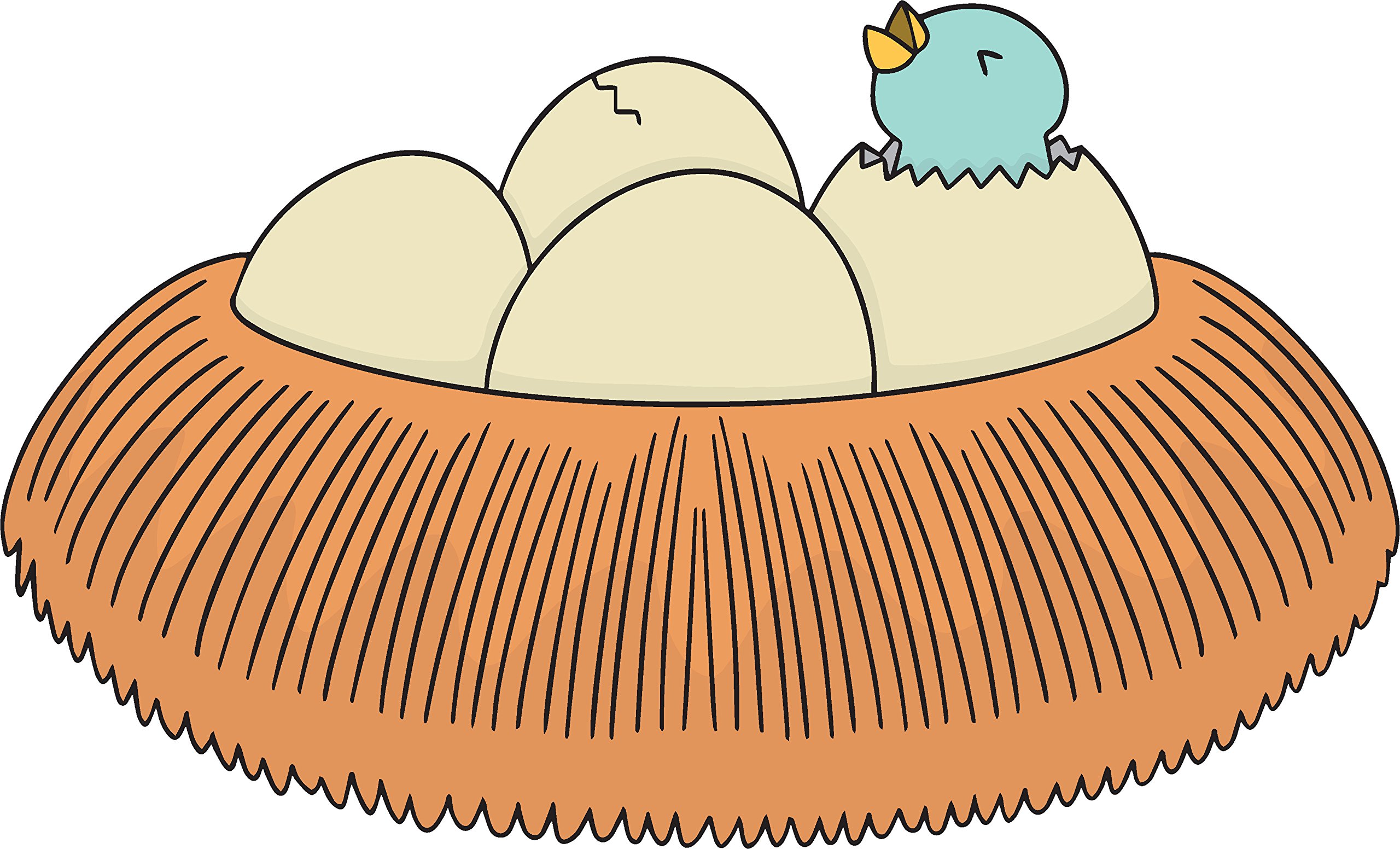 Huevos Dibujo
