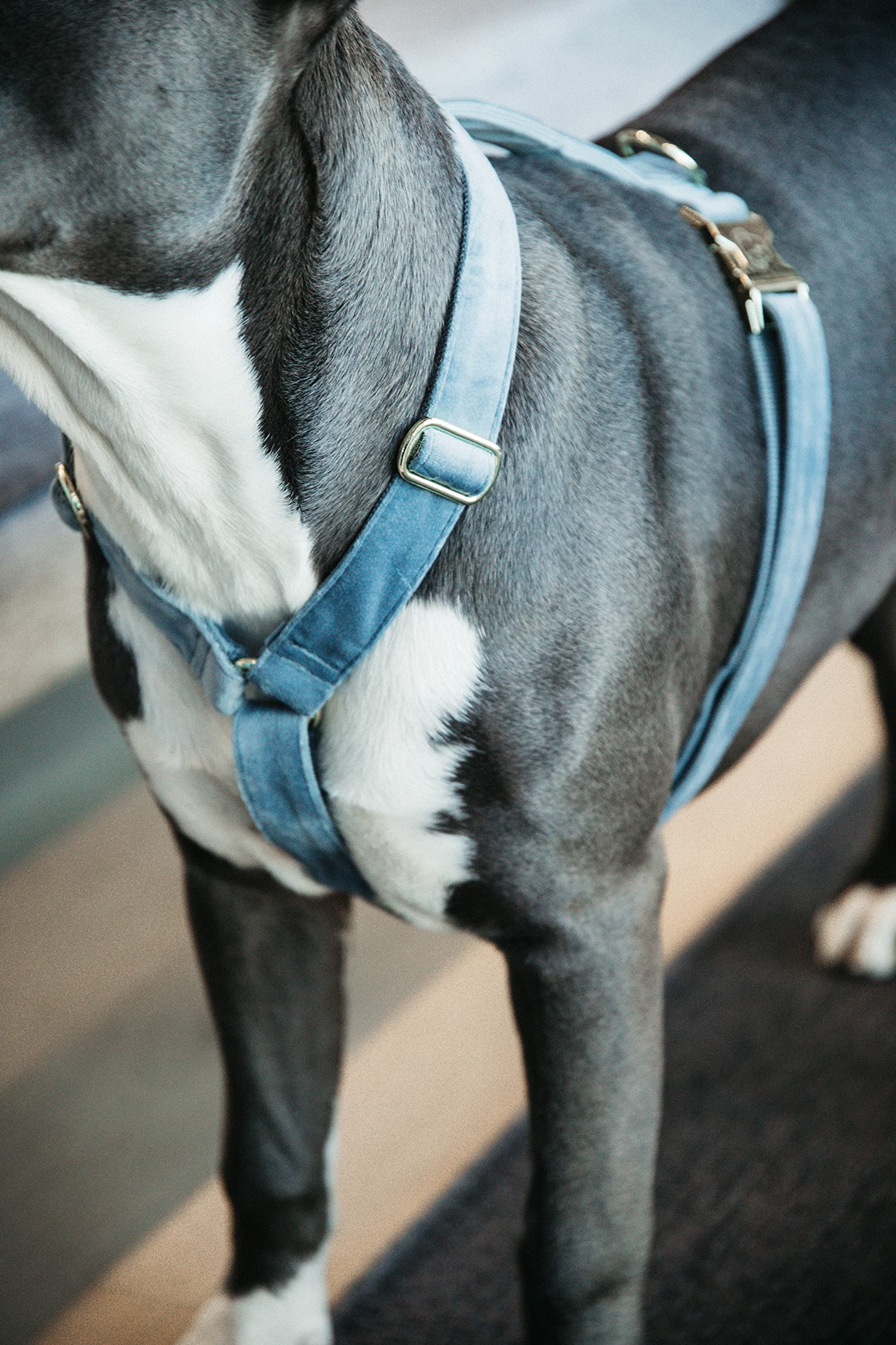 Casquette Kentucky En Velours Bleu Clair - Look Élégant Pour Équitation - 100% Velours
