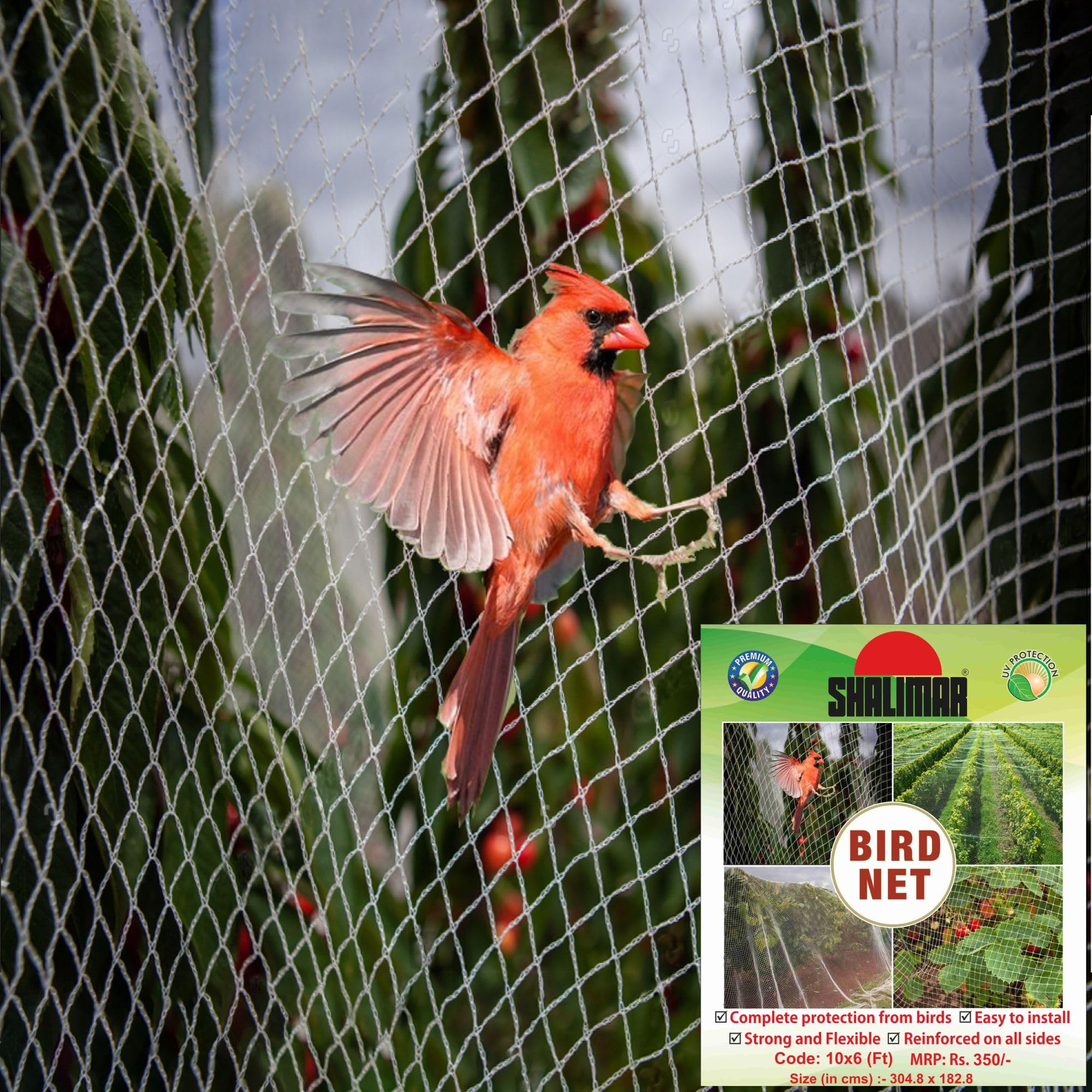 Shalimar Bird Net – 10 x 6 Feet – White UV-Stabilized HDPE Monofilament Net – Anti-Bird, Pigeon Control & Garden Net for Balcony, Windows, and Outdoor Use – Durable & Weatherproof