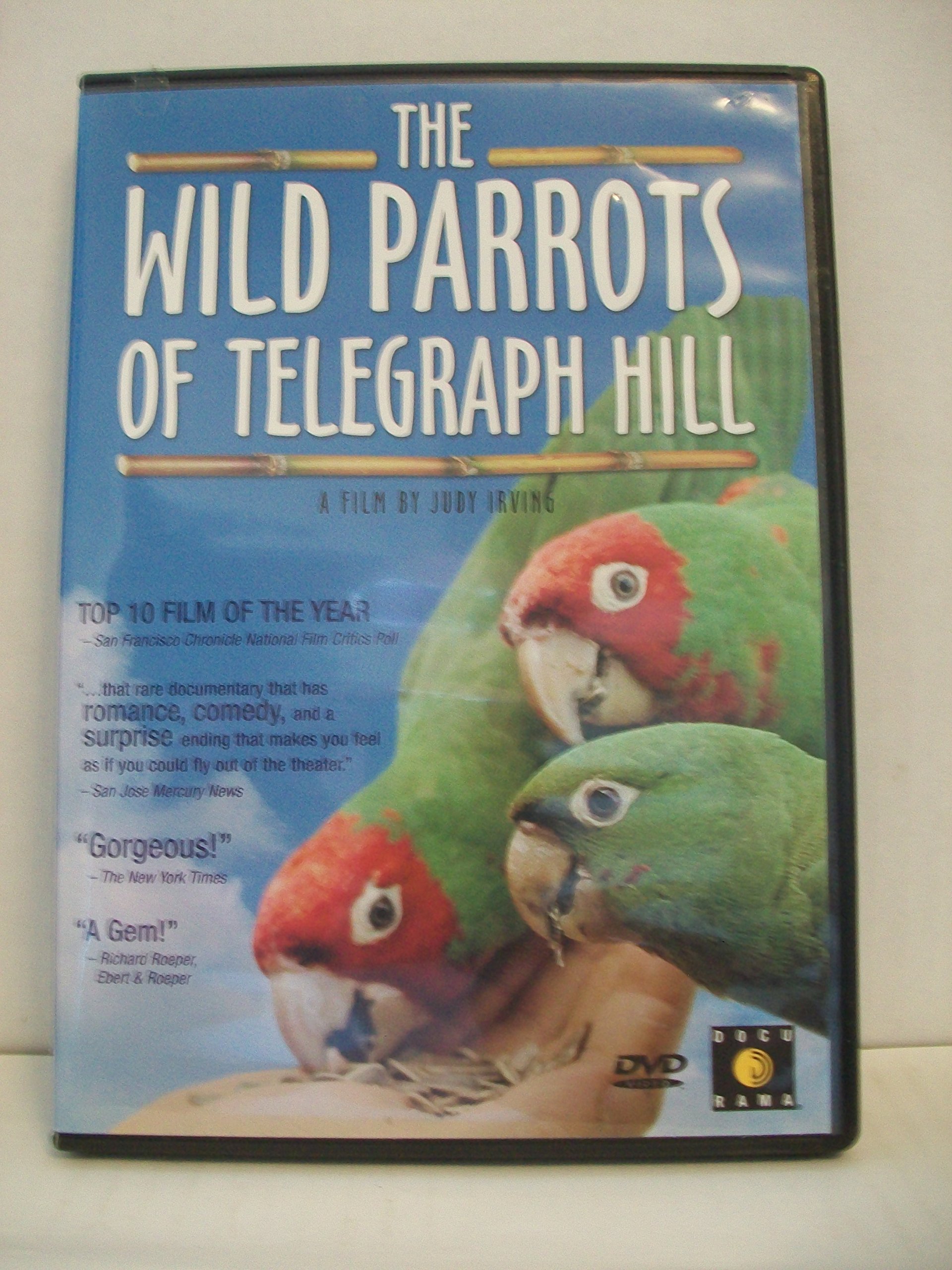 The Wild Parrots of Telegraph Hill [DVD]