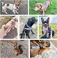 Vista 9 de BEAUTYZOO No Pull Dog Harness and Leash Set - Adjustable Step-in Puppy Harness for Small Medium Large Dogs, Escape Proof Soft Nylon Vest with Double