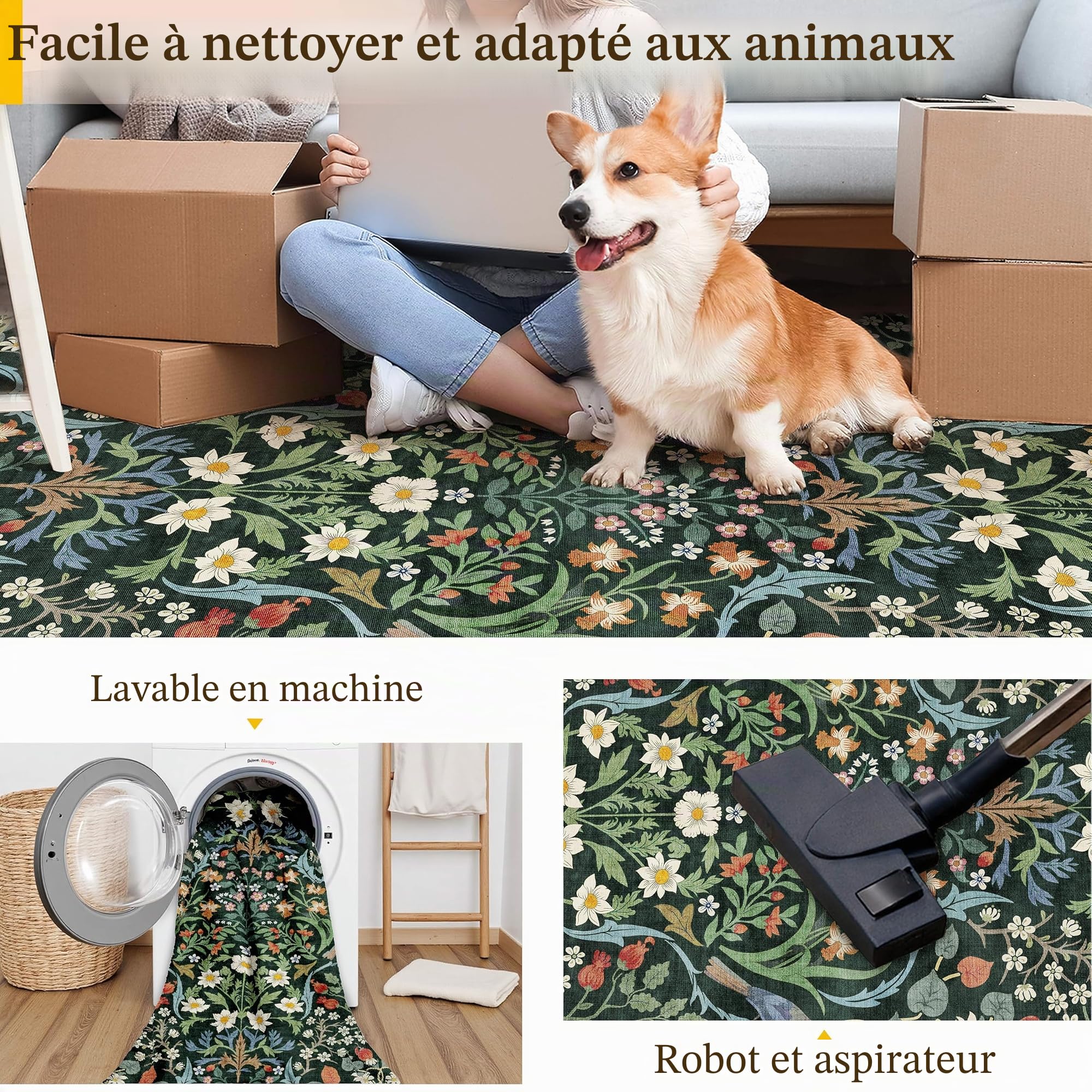 PureCozy Tapis Salon 200x300cm Lavable Motif Floral Poils Courts Antidérapant Doux Boho Vintage Grand Tapis pour Chambre Salle À Manger Bedroom Living Room, Vert