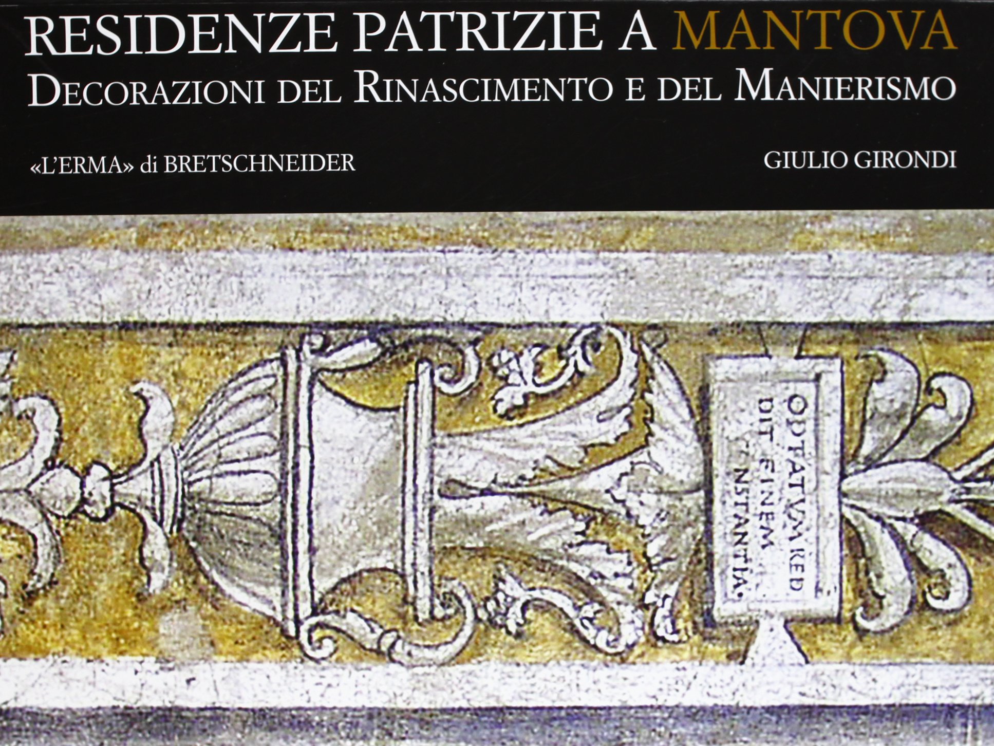 Residenze patrizie a Mantova : livre architecture Rinascimento et maniérisme
