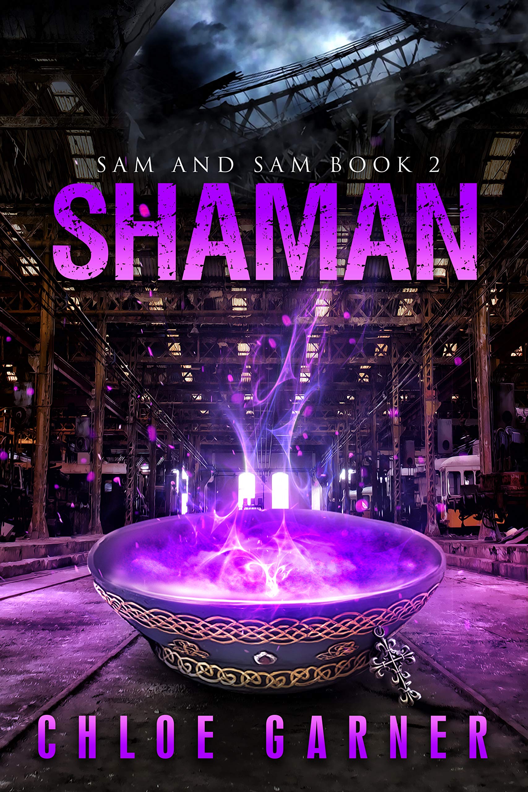 Book cover for Shaman