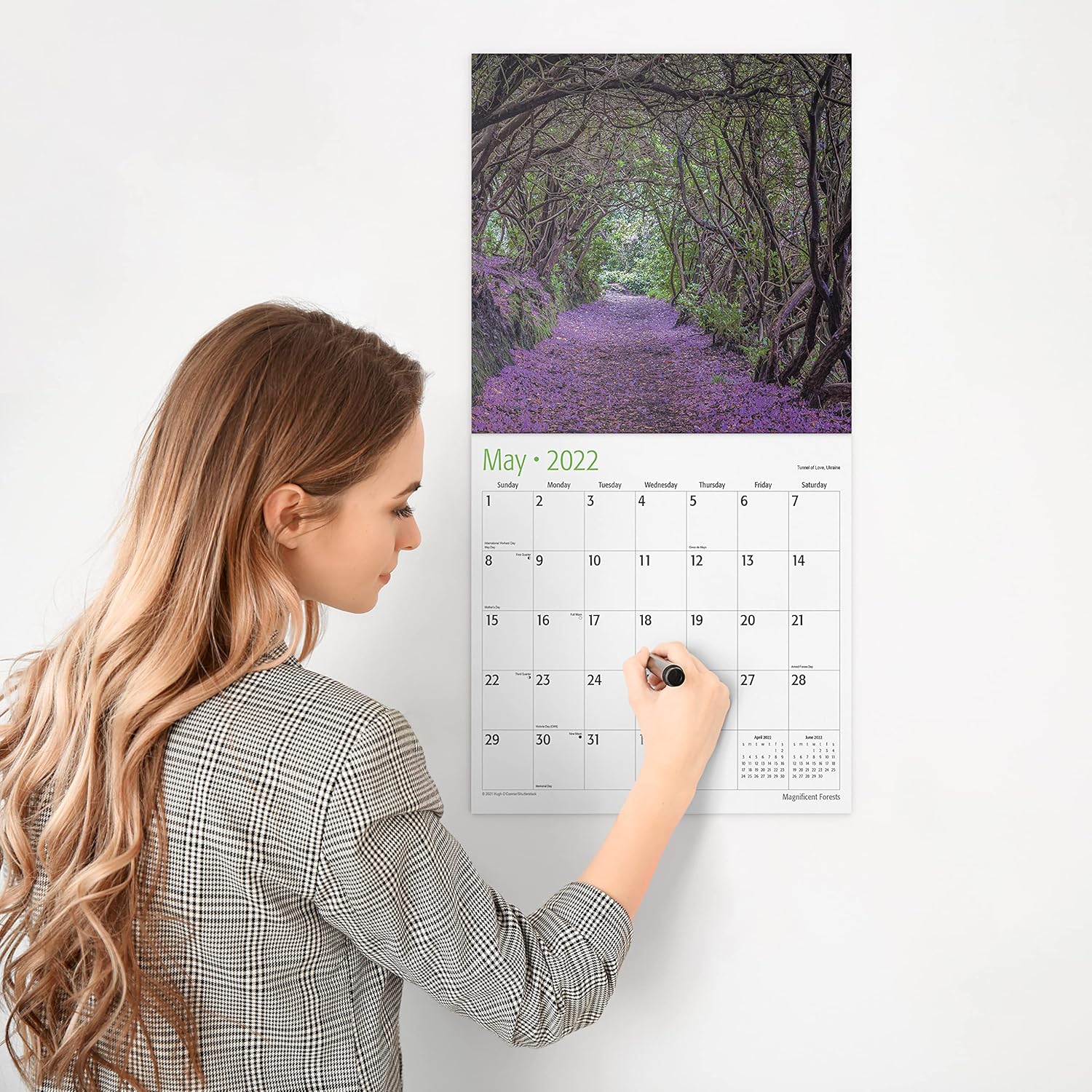 RED EMBER Magnificent Forests 2022 Hangable Wall Calendar - 12" x 24" Opened - Thick & Sturdy Paper - Giftable - Fantastic Forest Views : Office Products