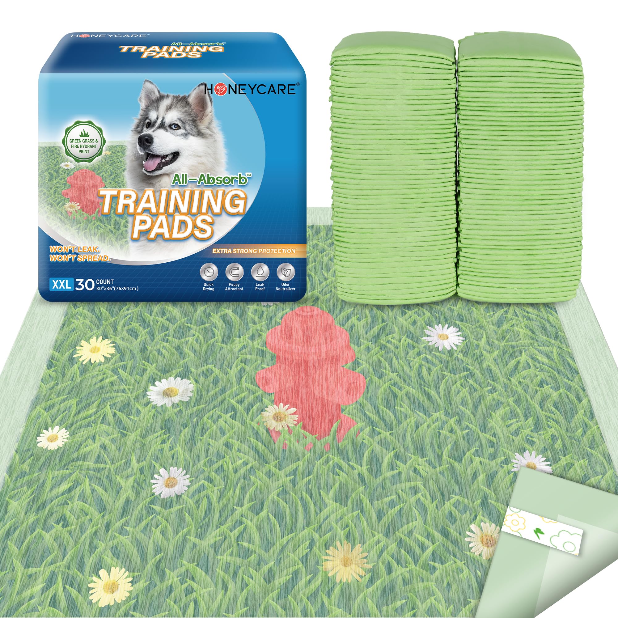 Tapis de dressage pour chien XXL pour garder un appartement propre sans odeurs
