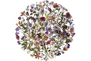 Nature Stickers for Adults: MAXLEAF's Vintage Flower Oasis for Card Making, Scrapbooking and More