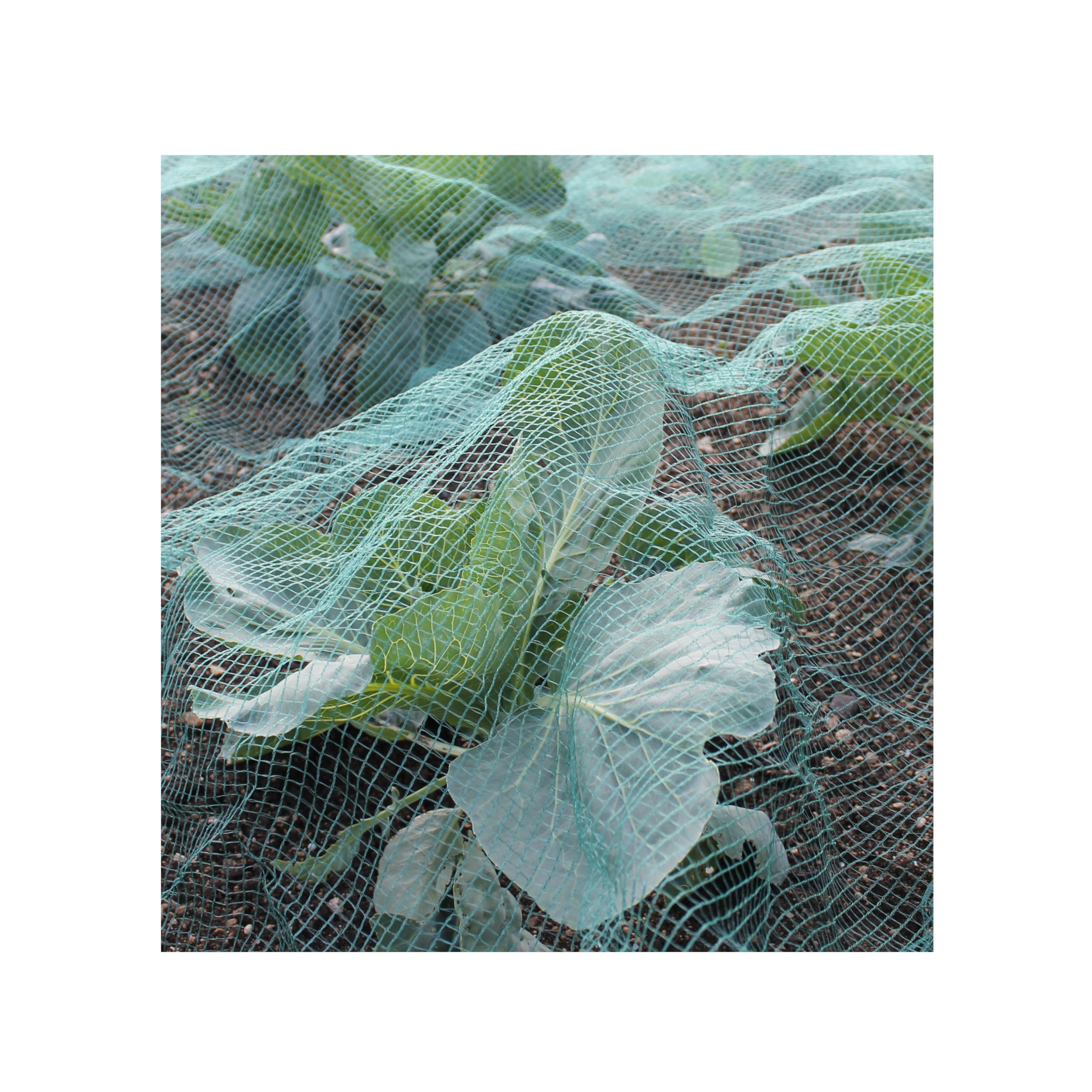Gardening Naturally Green Butterfly Netting Mesh For The Garden Ideal For Brassica Plants Stops Cabbage White Butterflies (3M Per Metre)