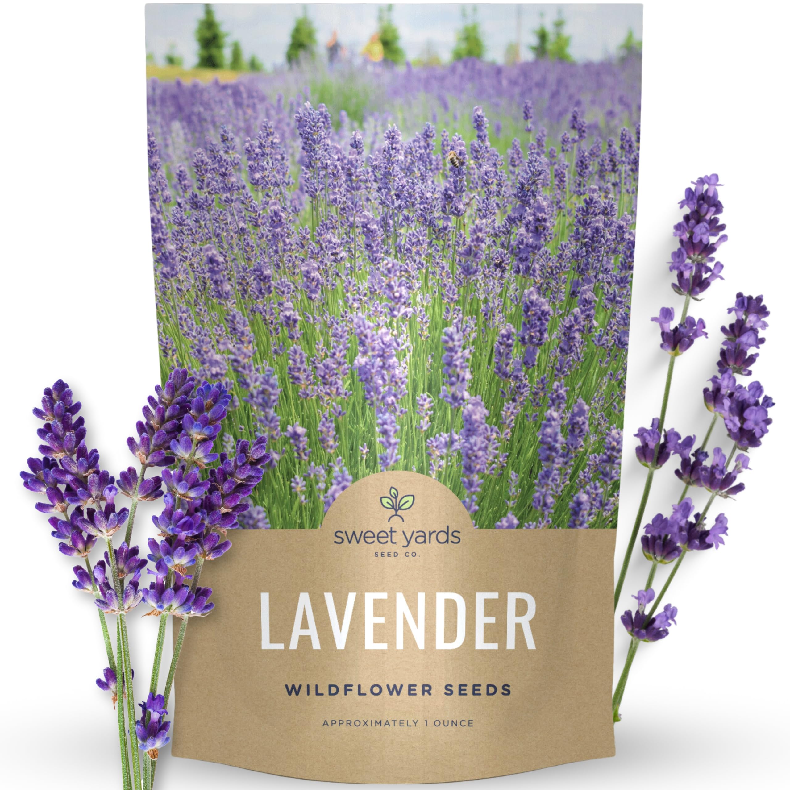 Lavender - Bulk 1 Ounce Pouch - 25,000 Flower Seeds for Planting - Lavandula angustifolia