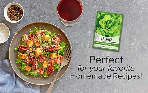 Miniatura 3 de Semillas de lechuga romana para plantar, Parris Island Cos Heirloom, variedad vegetal sin OMG, 0.07 onzas de semillas ideales para primavera,