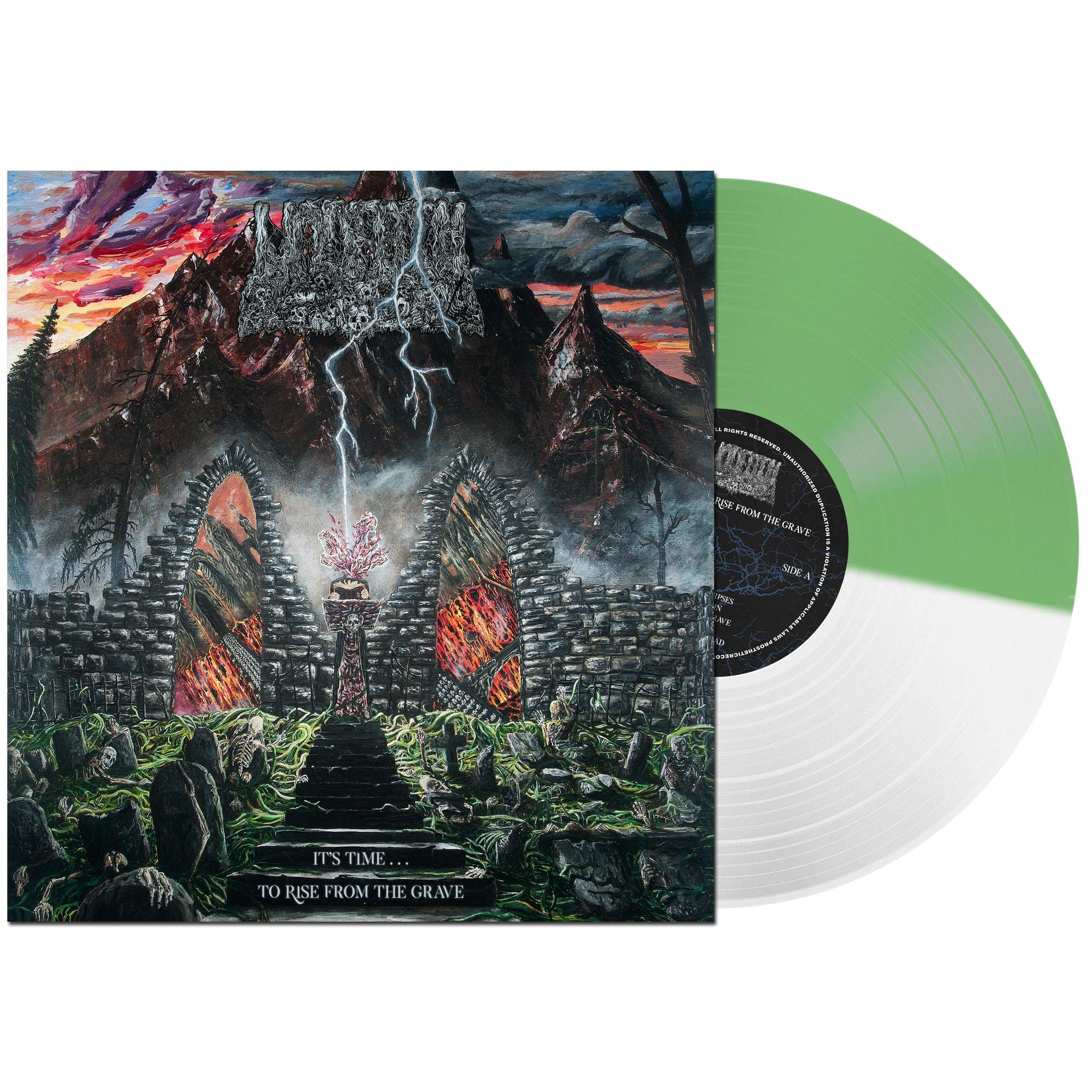 It's Time...To Rise From the Grave [VINYL]