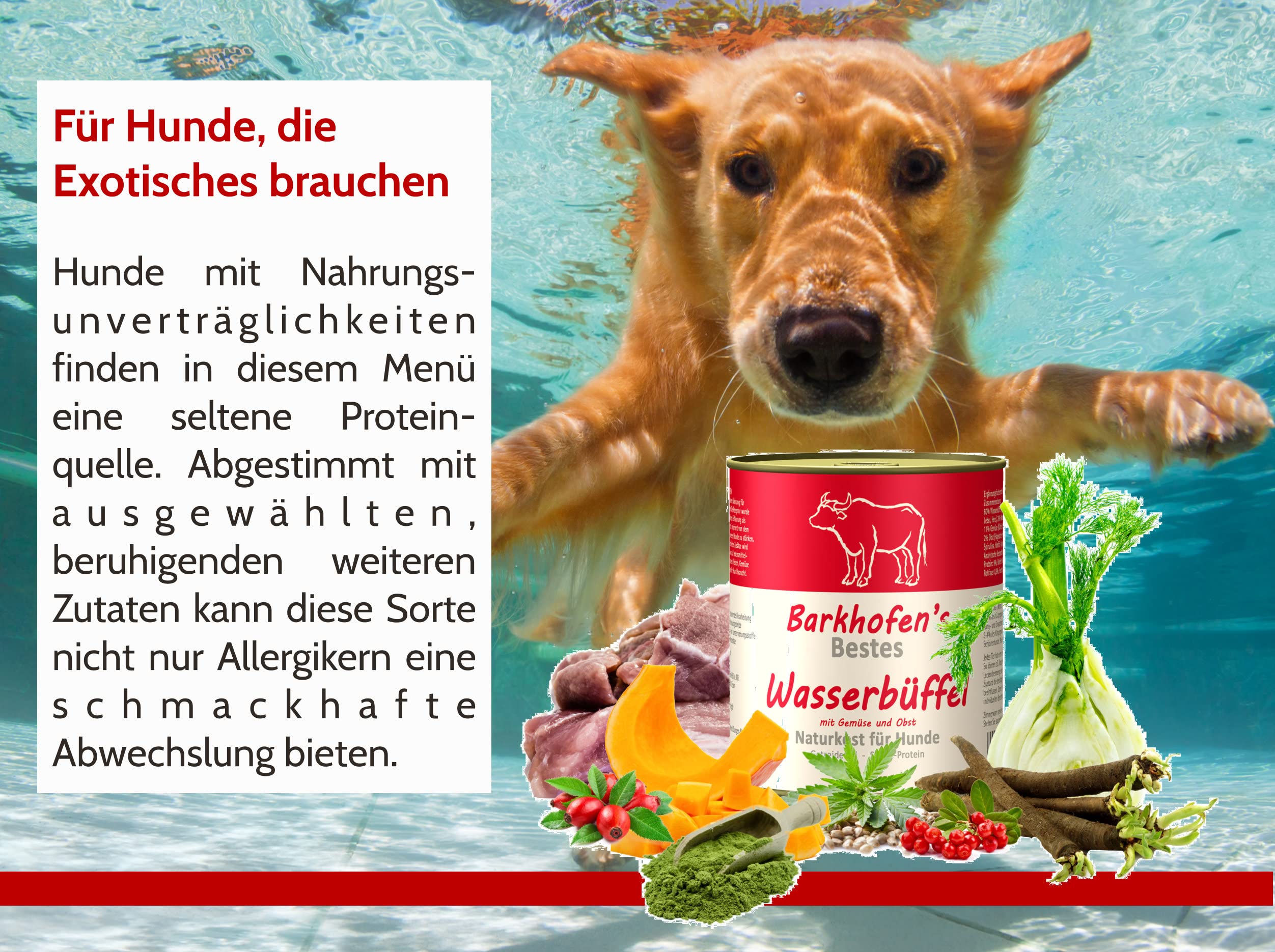 Barkhofen Tiernahrung Nassfutter fr Ihren Hund 6X 800g  Hundefutter nass  & getreidefrei mit Wasserbffel - Hunde Futter in Dosen ohne Getreide :  Amazon.de: Haustier