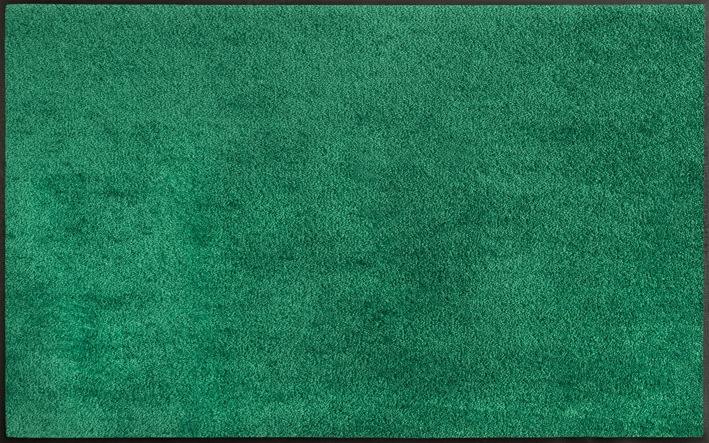 wash+dry Fußmatte Ever Green 75x120cm, grün